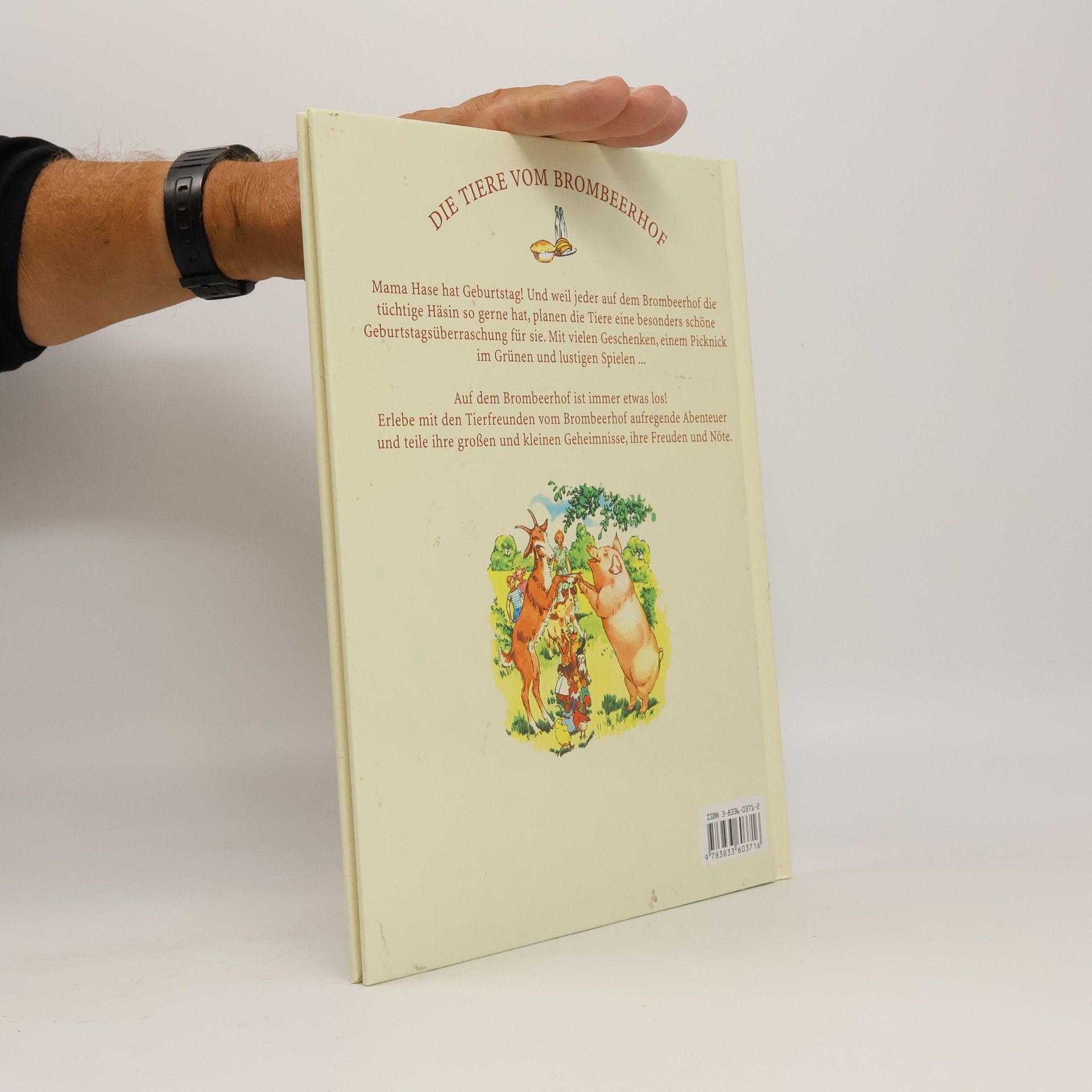 Autorenkollektiv Das Geburtstagspicknick