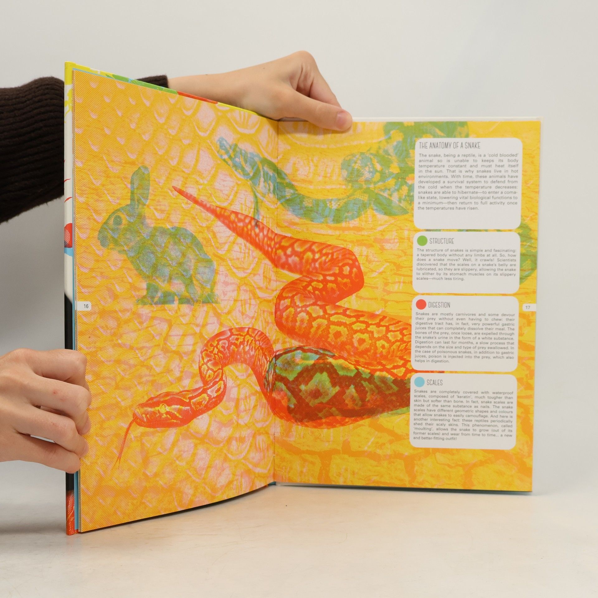 Alberto Borgo Lens Book: Animals