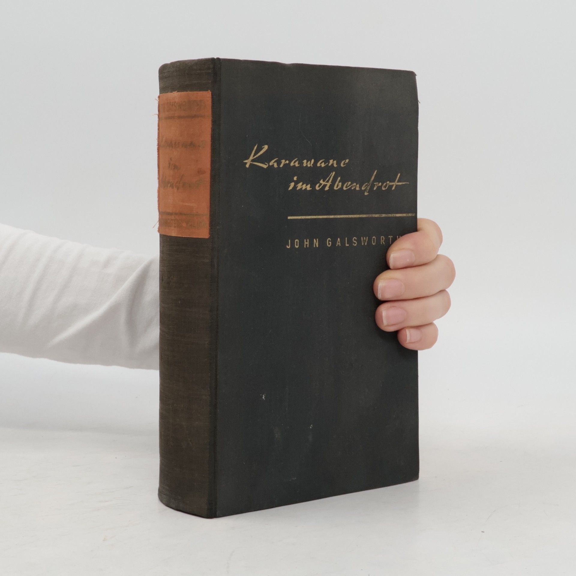 John Galsworthy Karawane im Abendrot