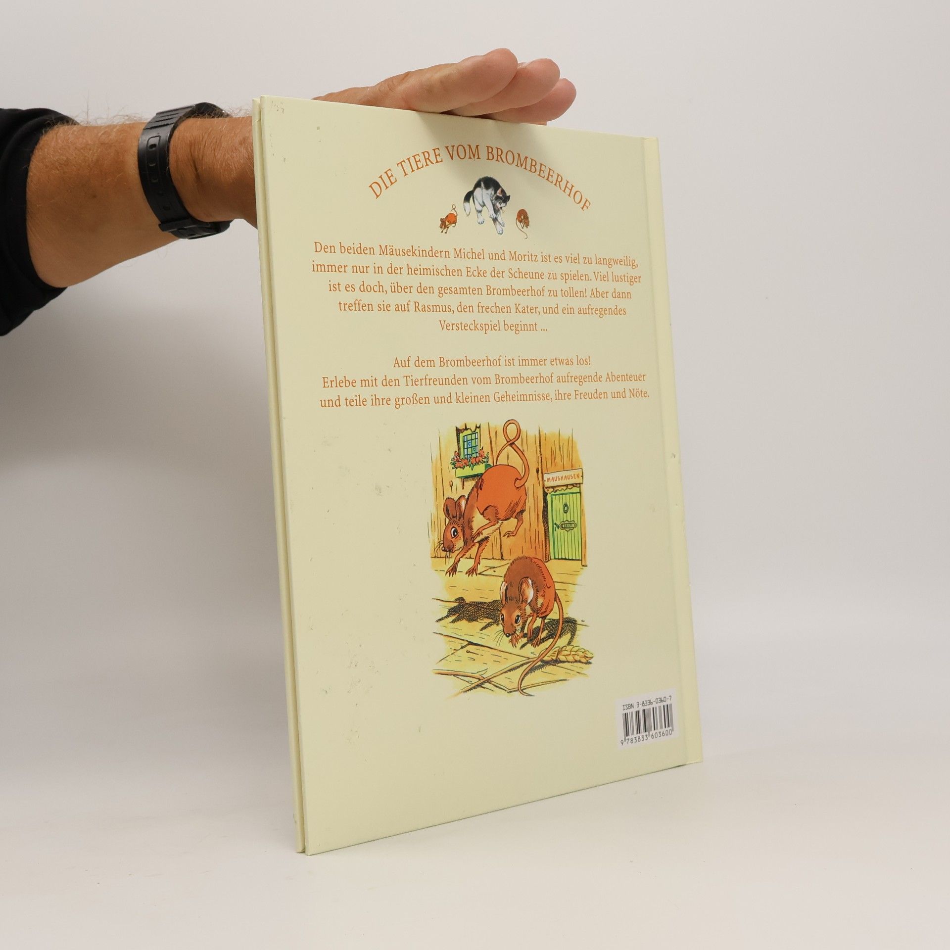 Jane Pilgrim Ein lustiges Versteckspiel