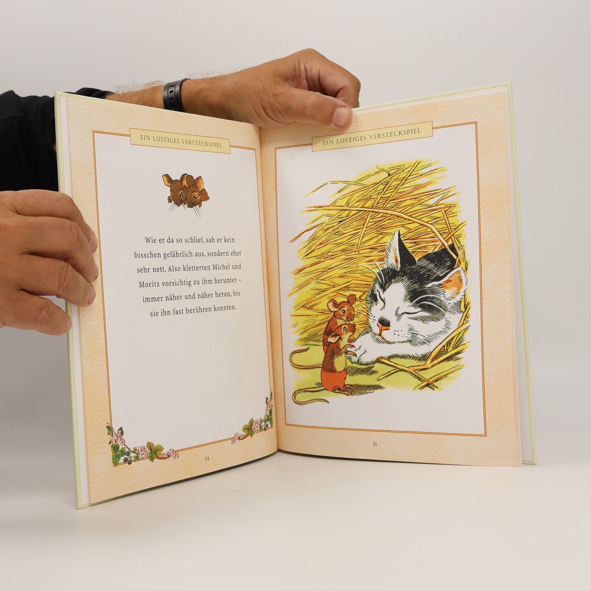 Jane Pilgrim Ein lustiges Versteckspiel
