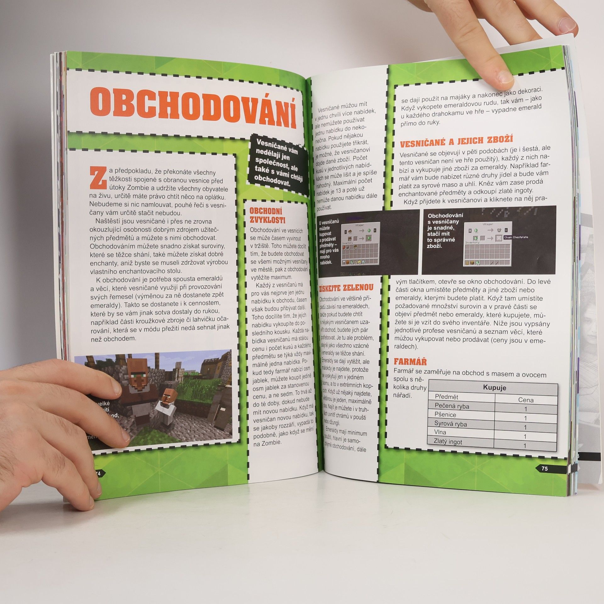 Jakub Kříž Minecraft: Staň se mistrem!