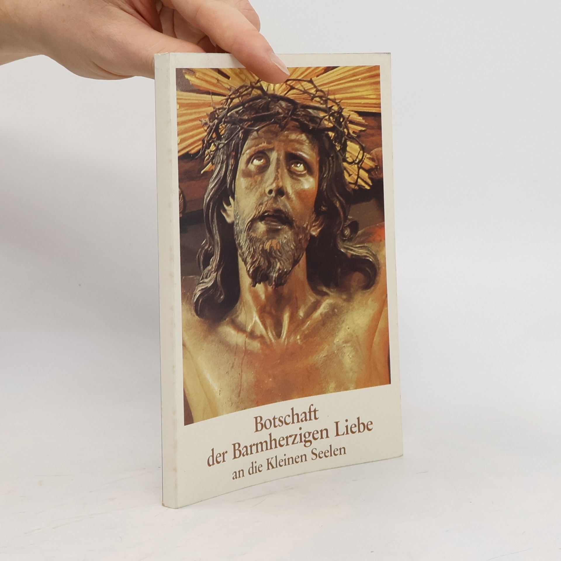 Collectif d'auteurs Botschaft der Barmherzigen Liebe an die Kleinen Seelen