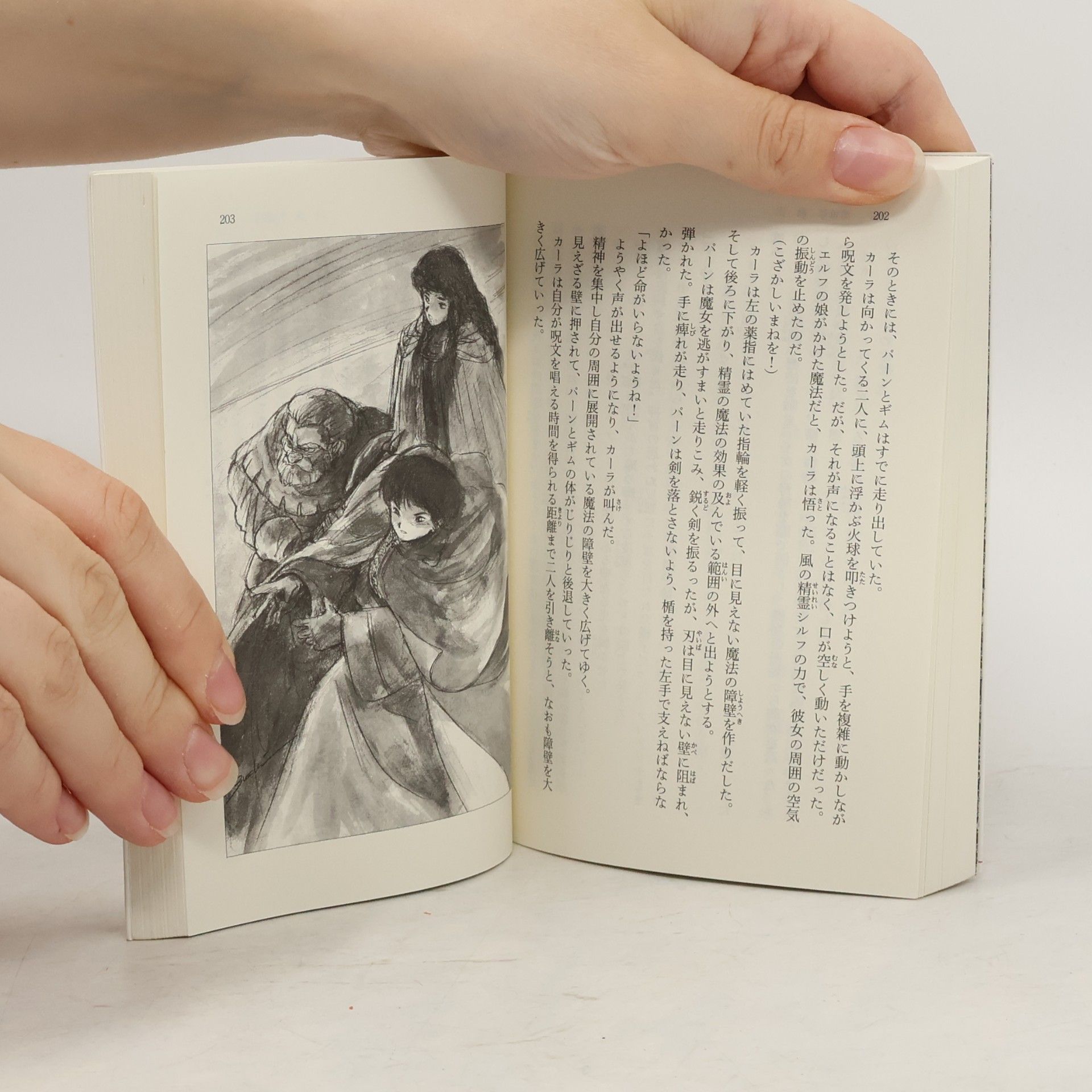 Ryo Mizuno 新装版 ロードス島戦記 灰色の魔女