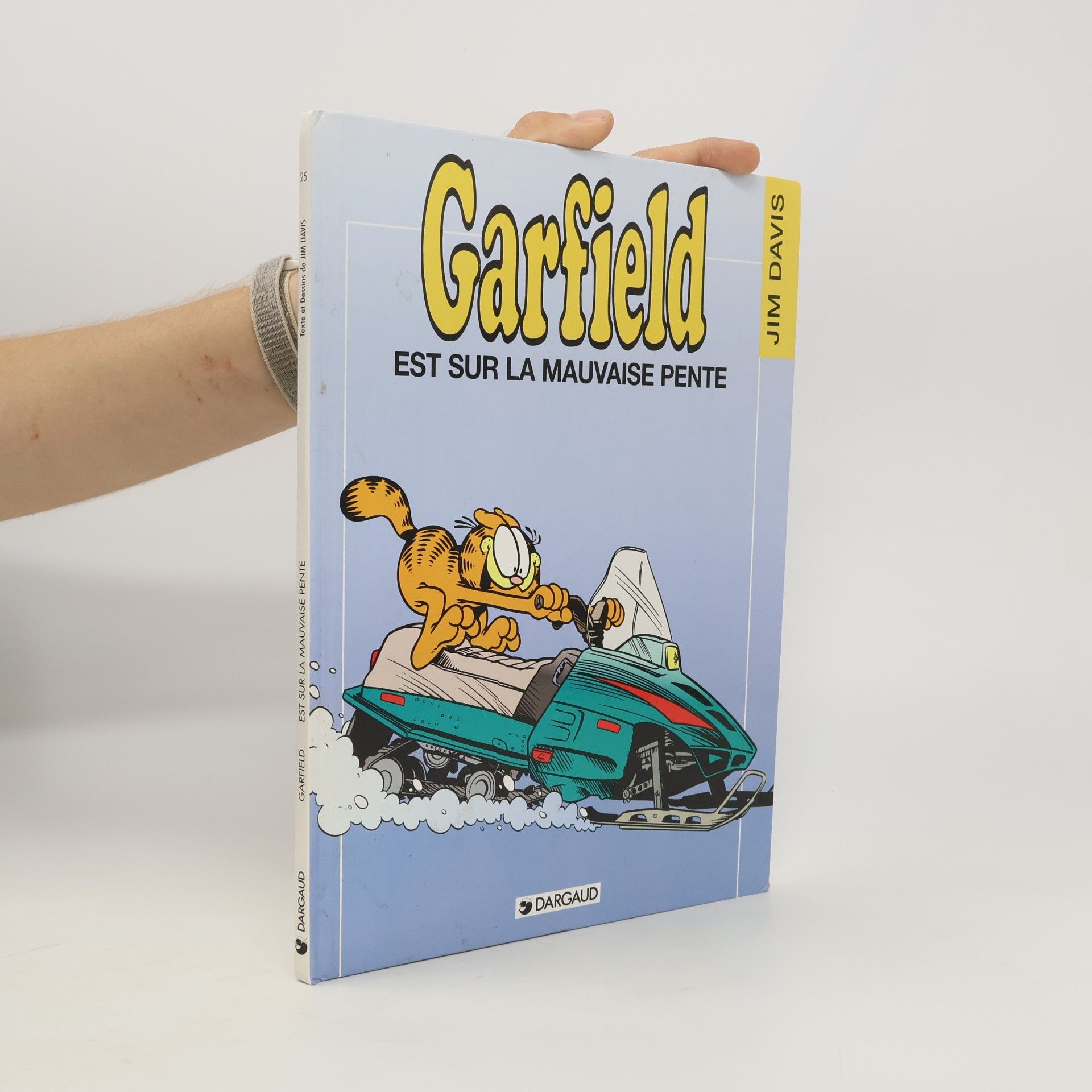 Garfield est sur la mauvaise pente