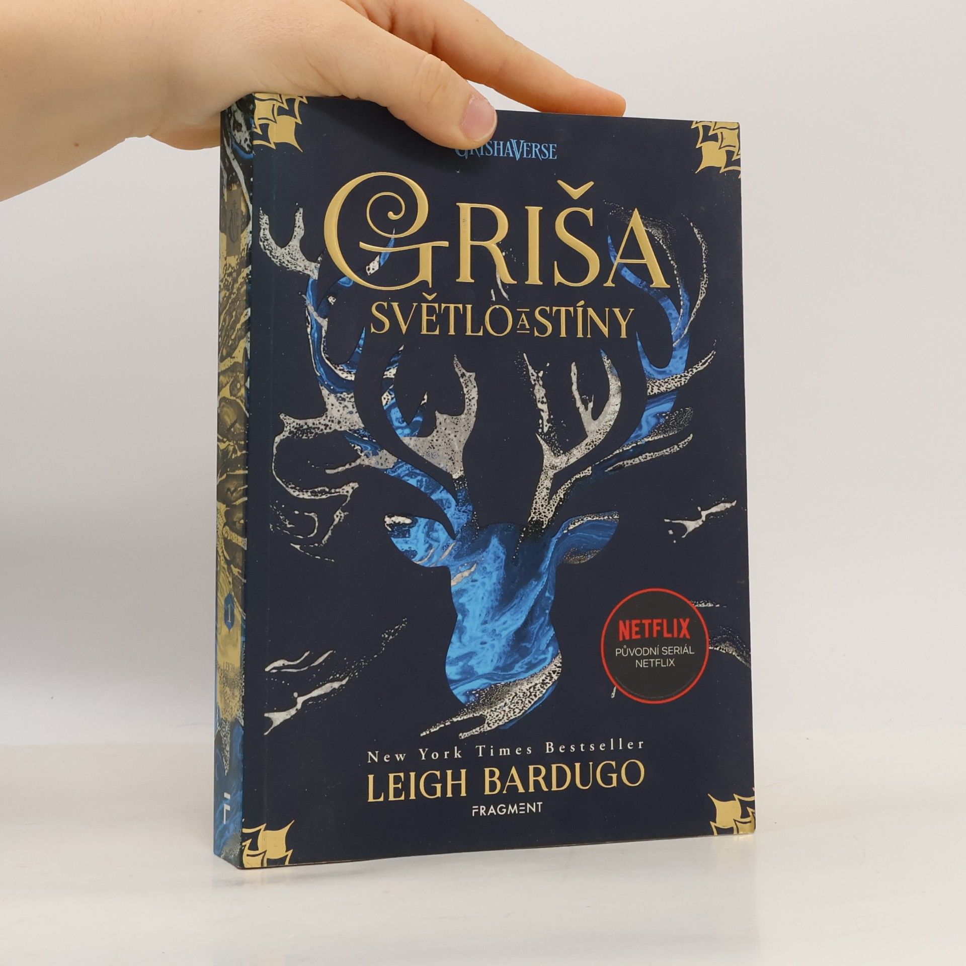 Leigh Bardugo Světlo a stíny
