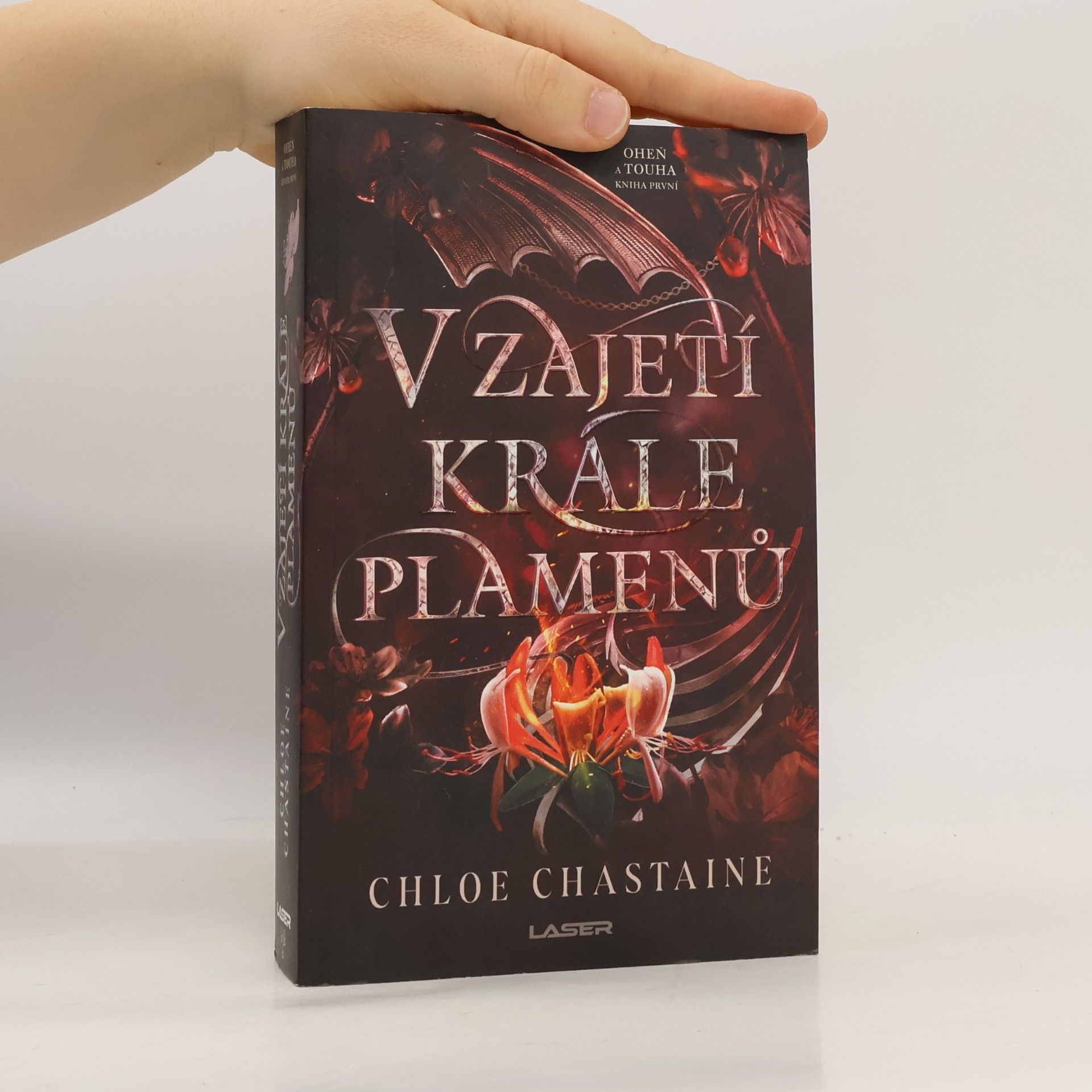 Chloe Chastaine V zajetí krále plamenů