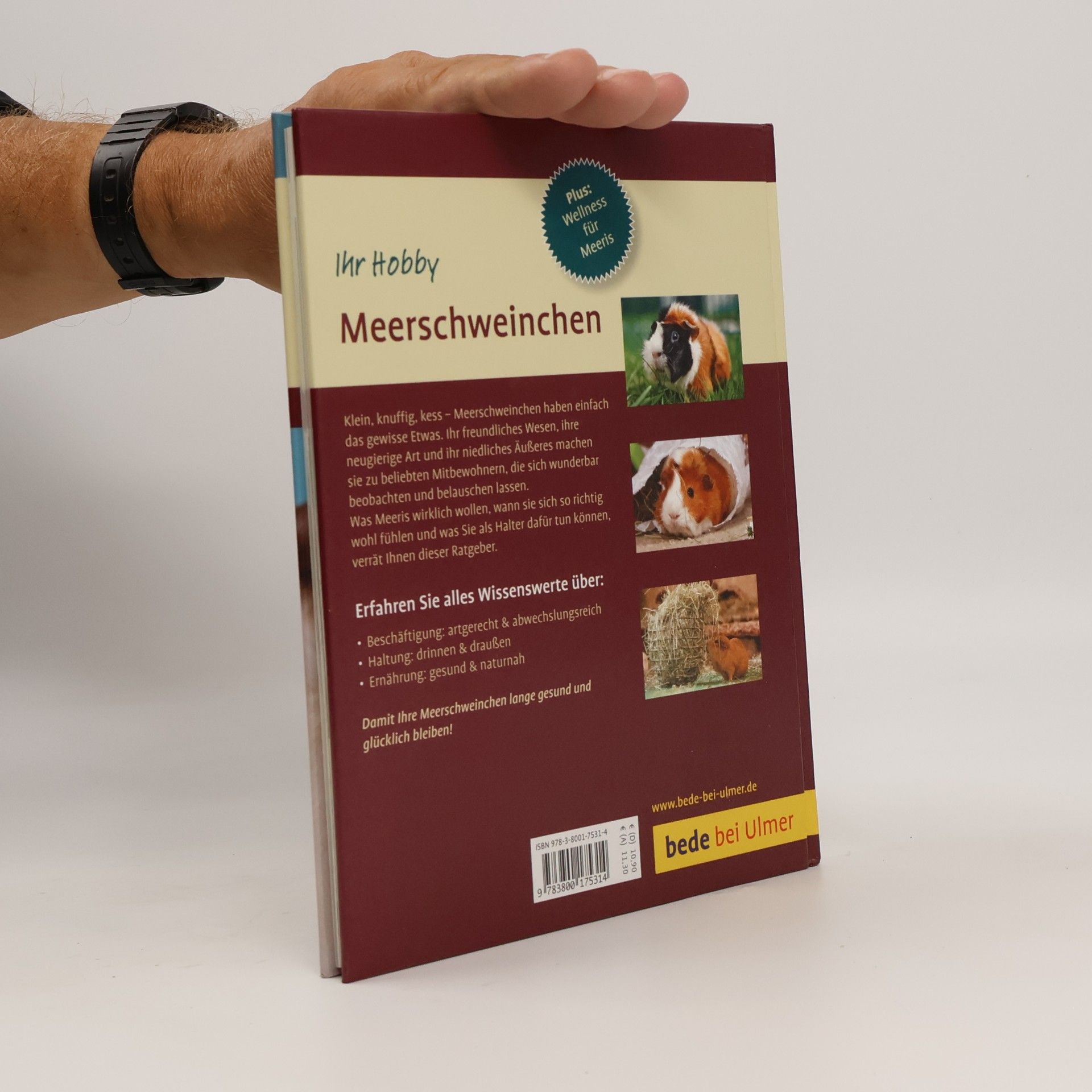 Christine Wilde Meerschweinchen