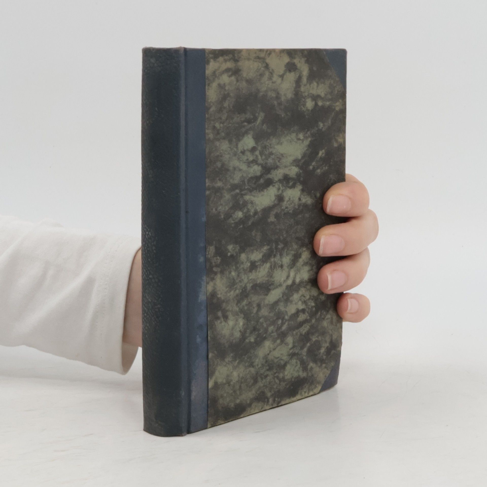 Fritz von Briesen Das verrückte Buch