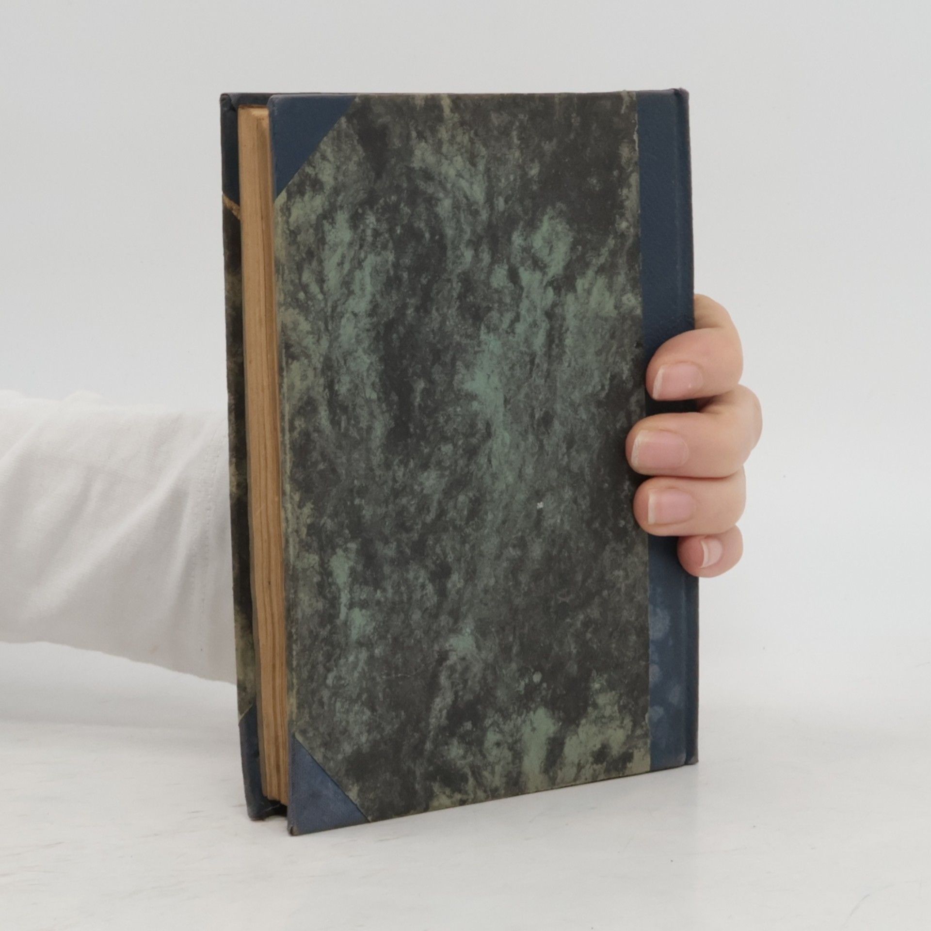 Fritz von Briesen Das verrückte Buch