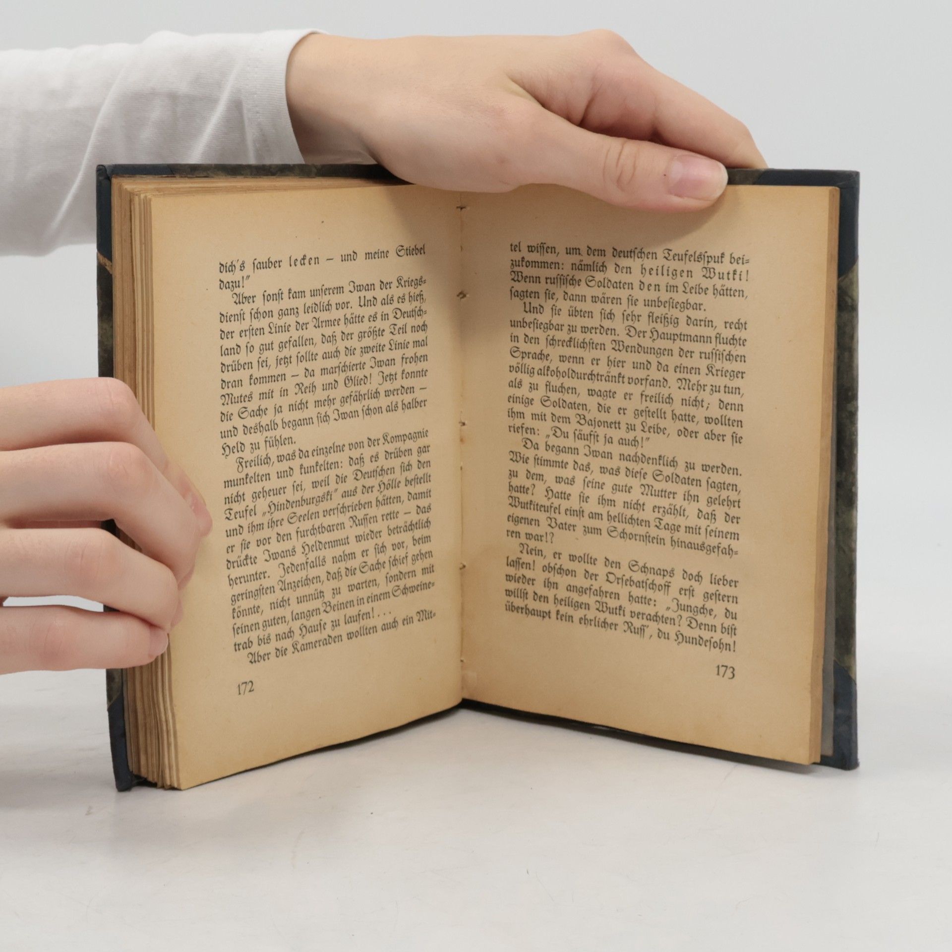 Fritz von Briesen Das verrückte Buch