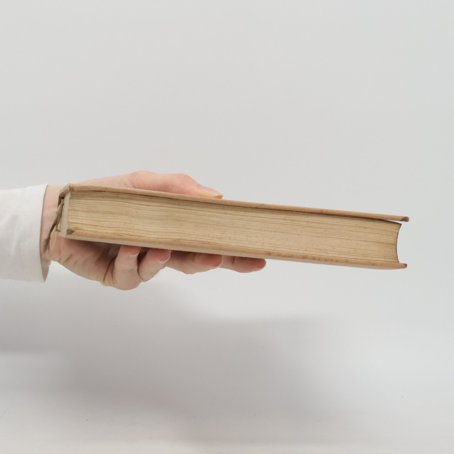 Klara Höffner Bruder Martinus. Ein Buch vom deutschen Gewissen
