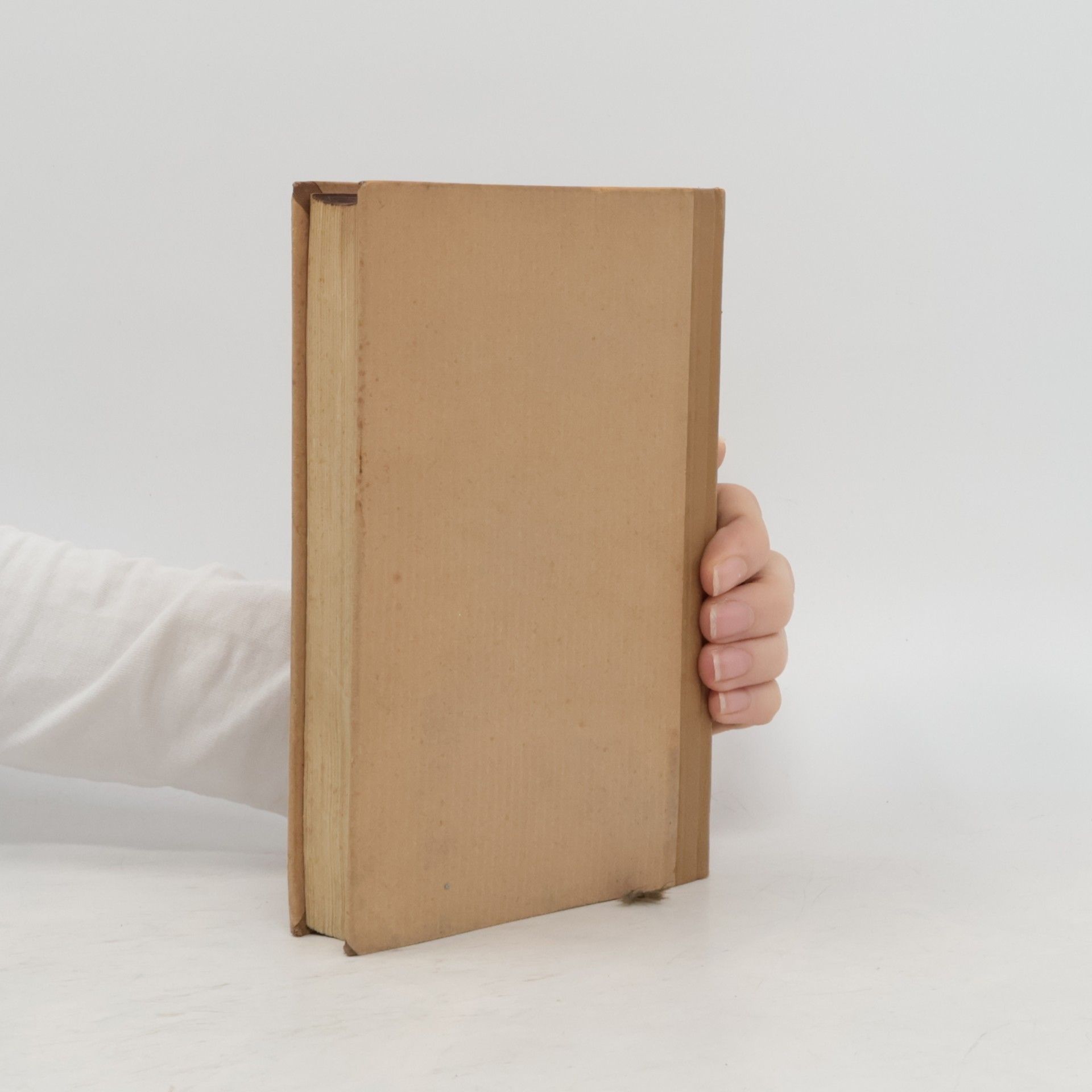 Klara Höffner Bruder Martinus. Ein Buch vom deutschen Gewissen