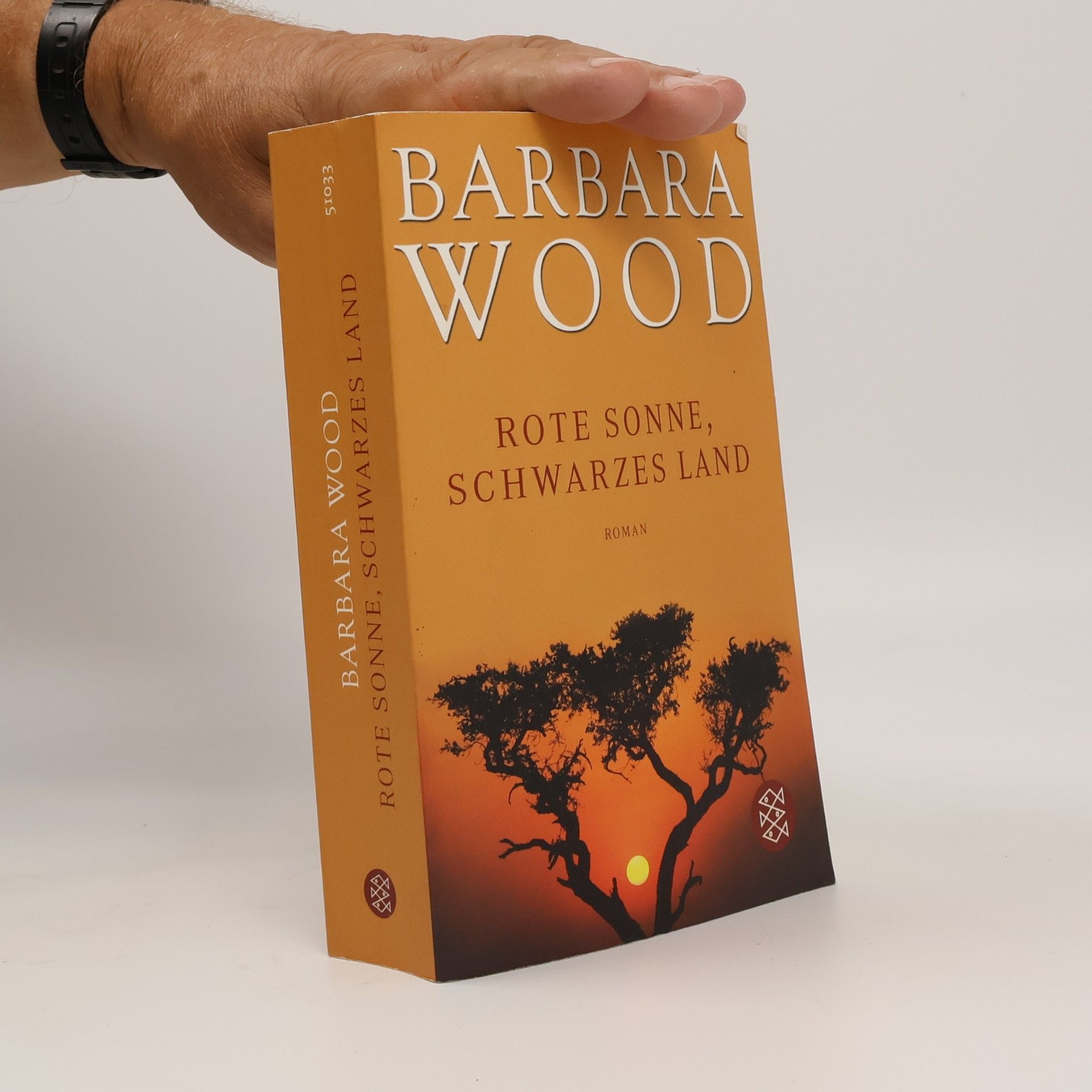 Barbara Wood Rote Sonne, schwarzes Land