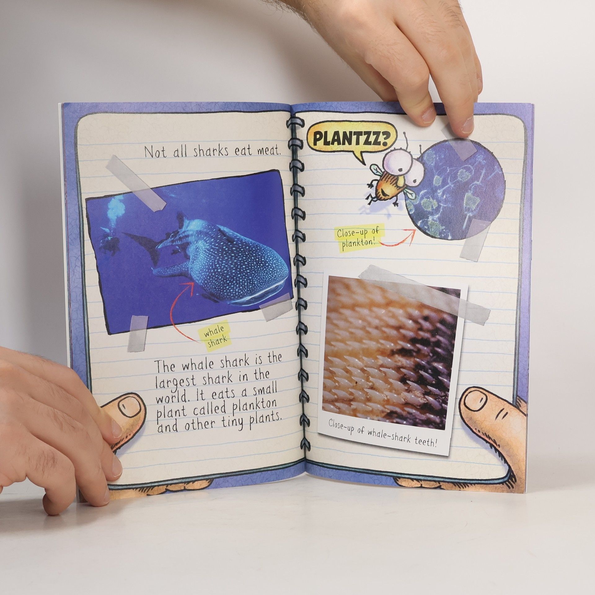 Tedd Arnold Scholastic Reader - 2: Fly Guy Presents: Sharks