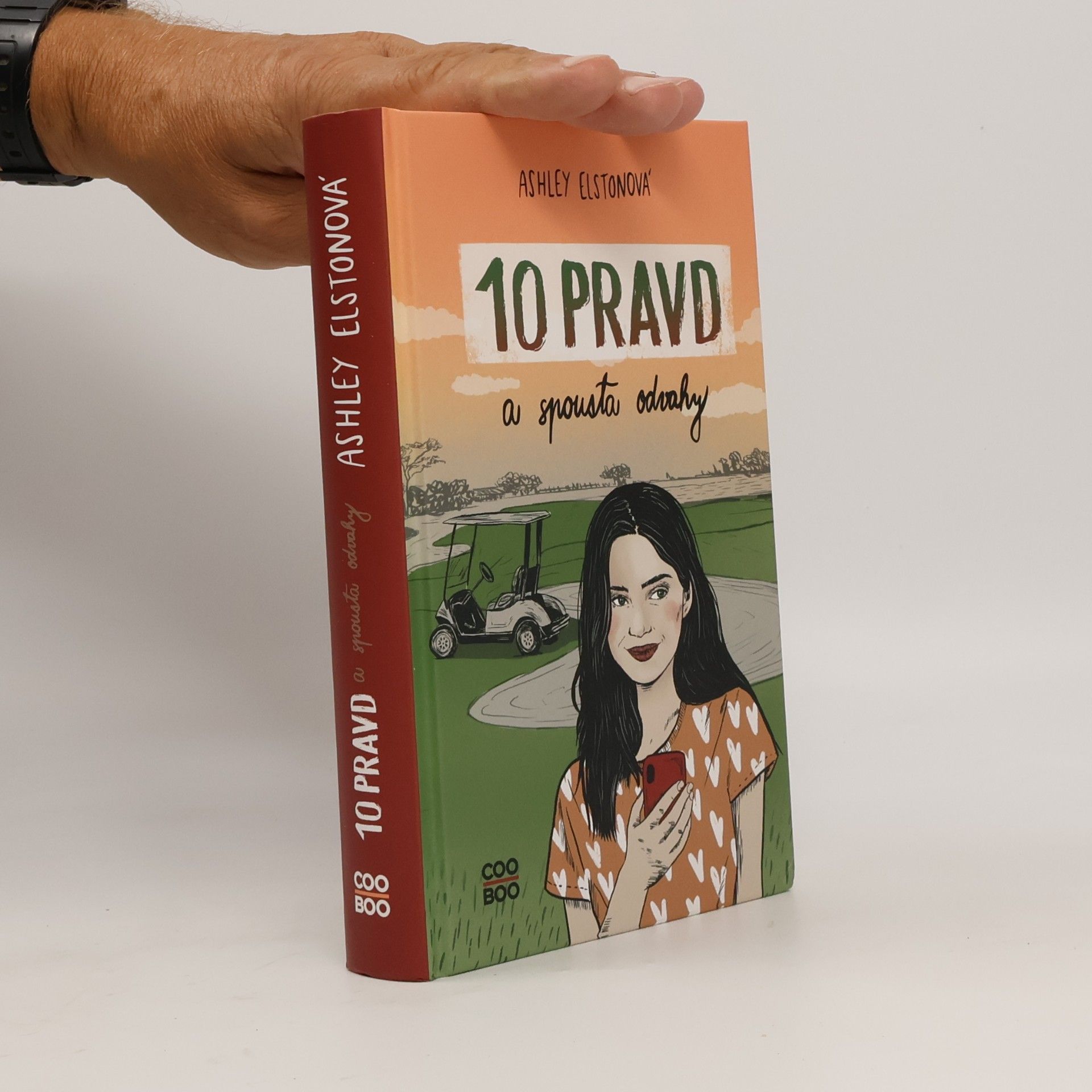 Ashley Elston 10 pravd a spousta odvahy