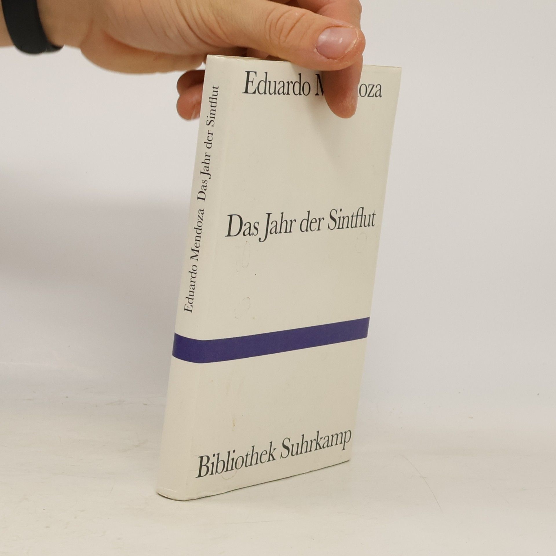 Eduardo Mendoza i Garriga Das Jahr der Sintflut