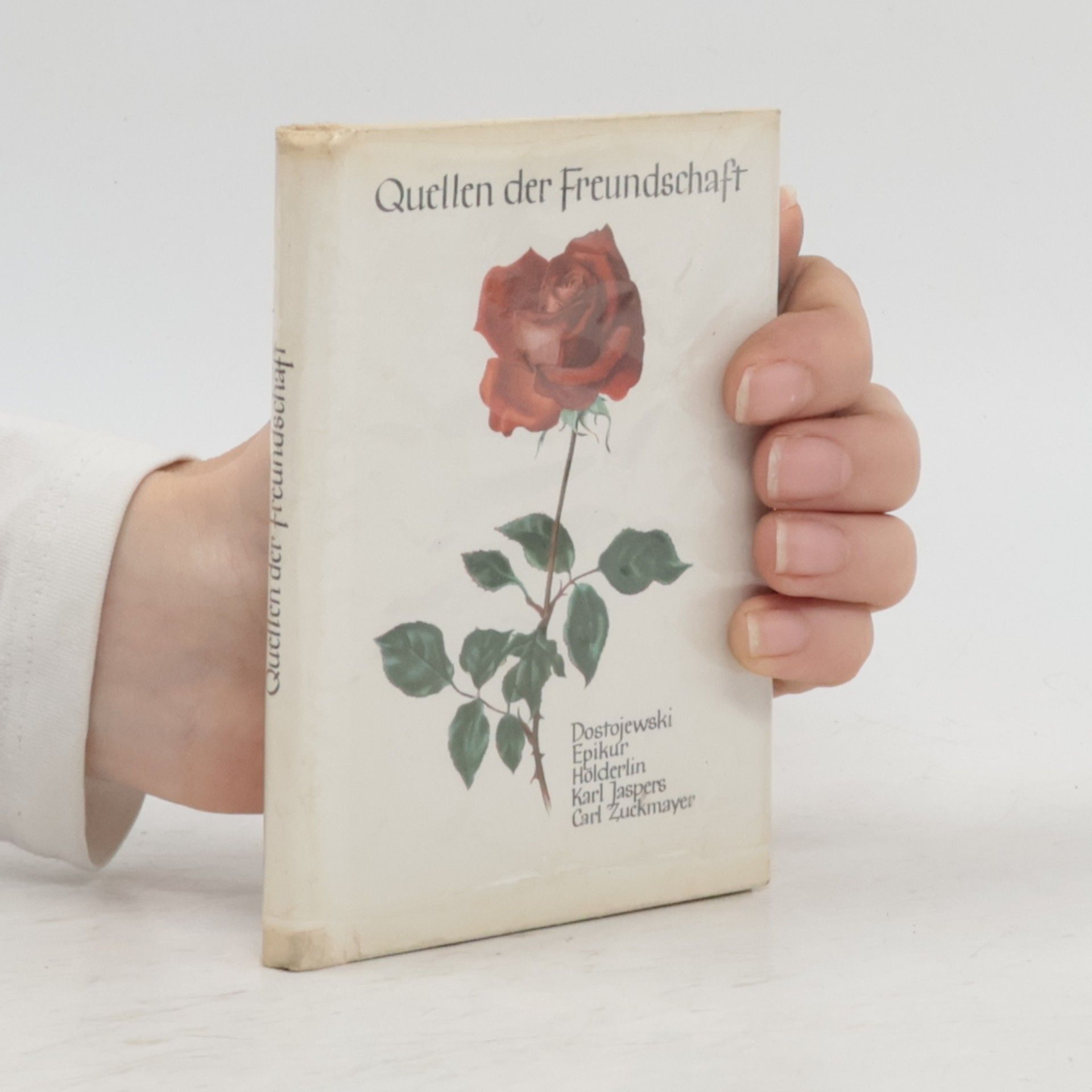 Autorenkollektiv Quellen der Freundschaft