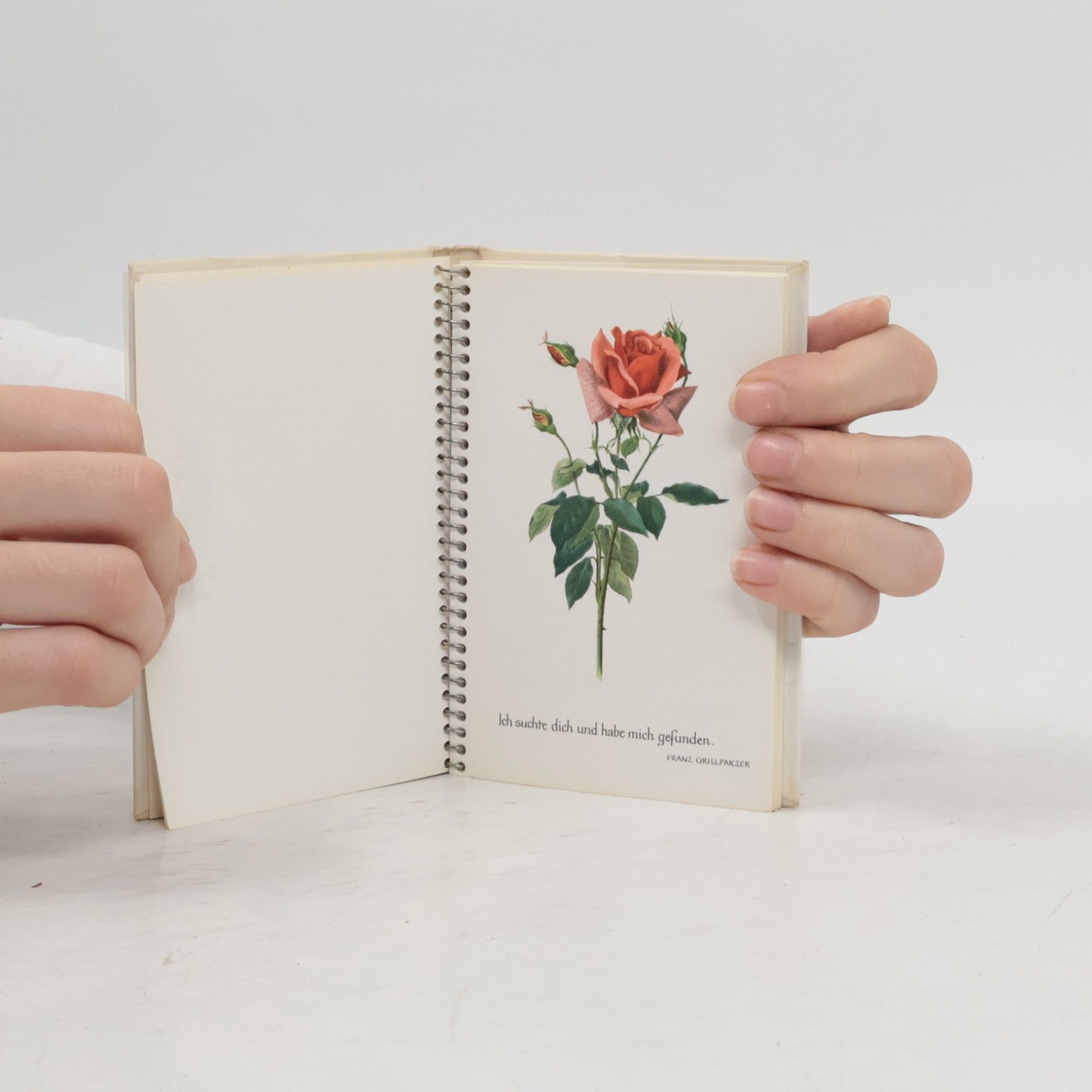 Autores varios Quellen der Freundschaft