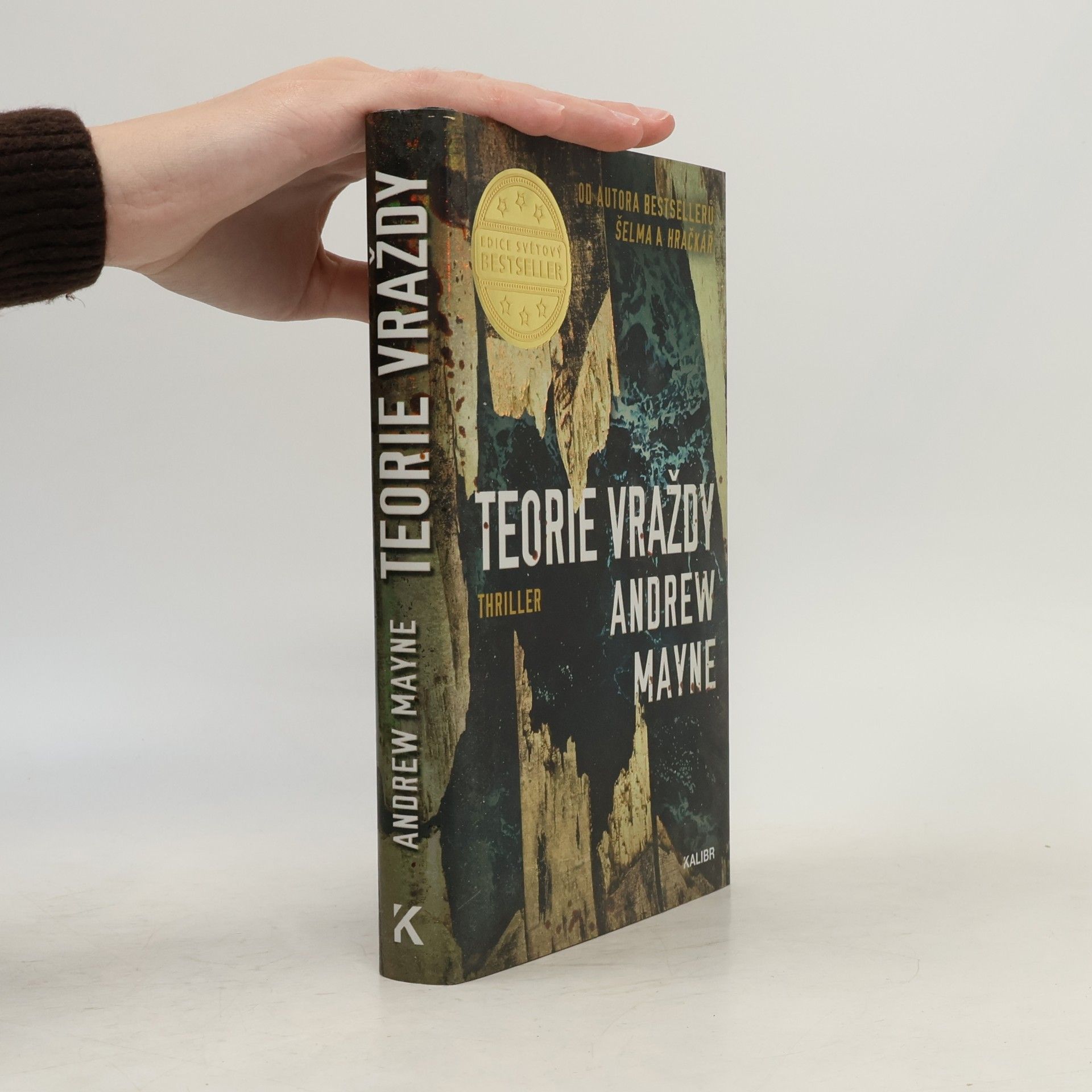 Andrew Mayne Teorie vraždy