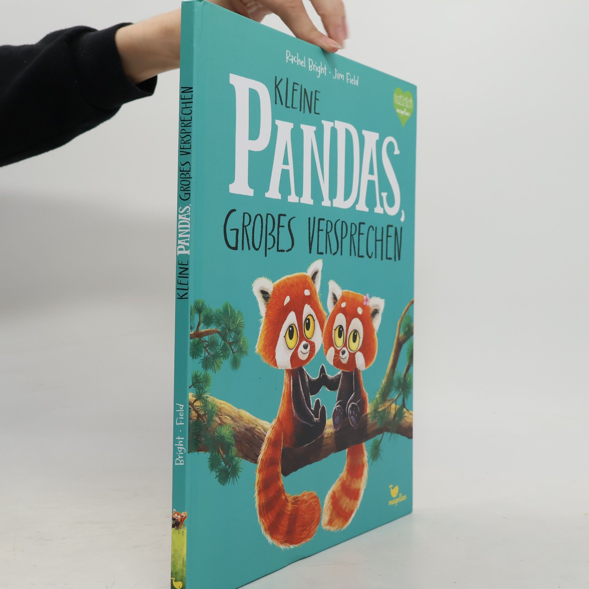 Rachel Bright Kleine Pandas, großes Versprechen