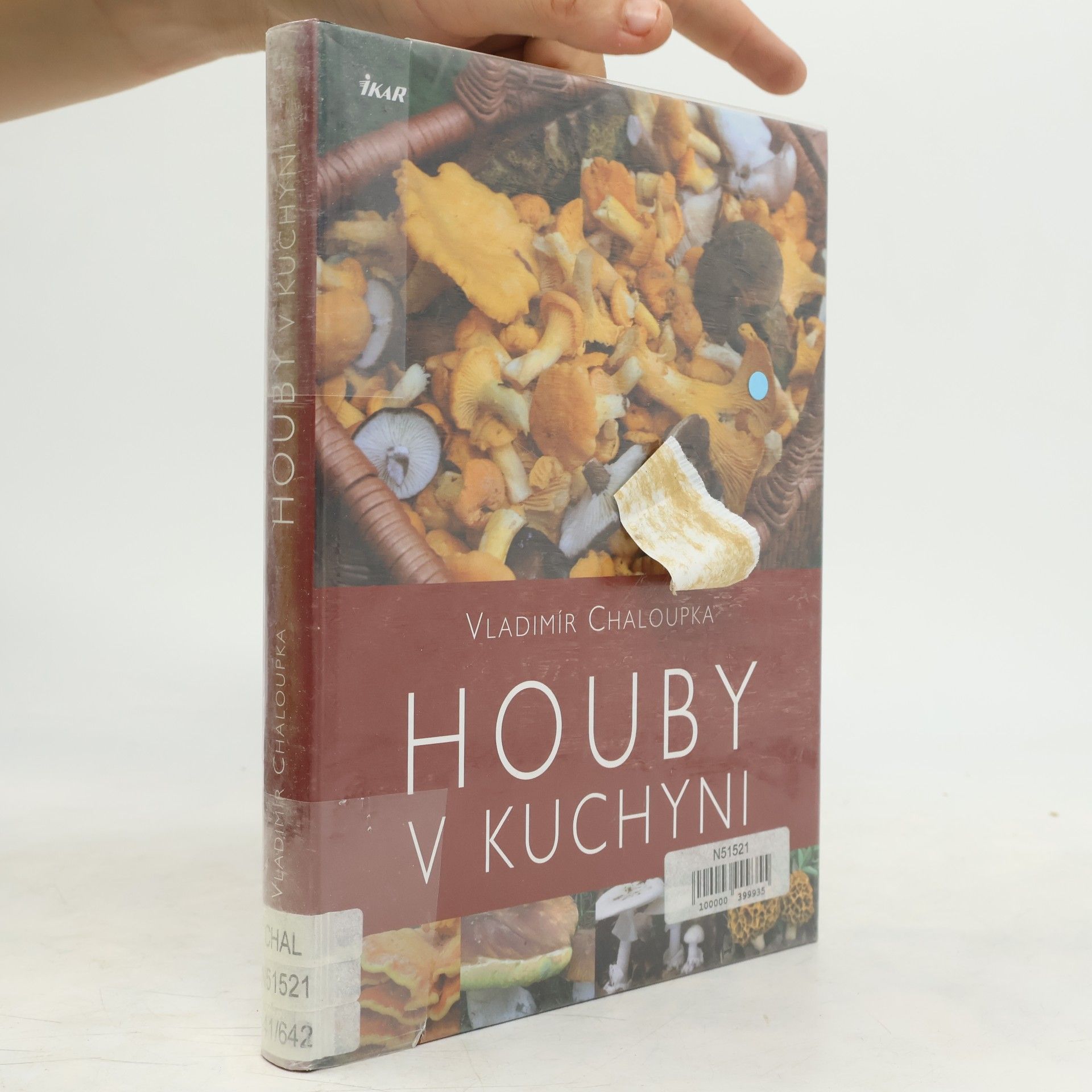 Vladimír Chaloupka Houby v kuchyni