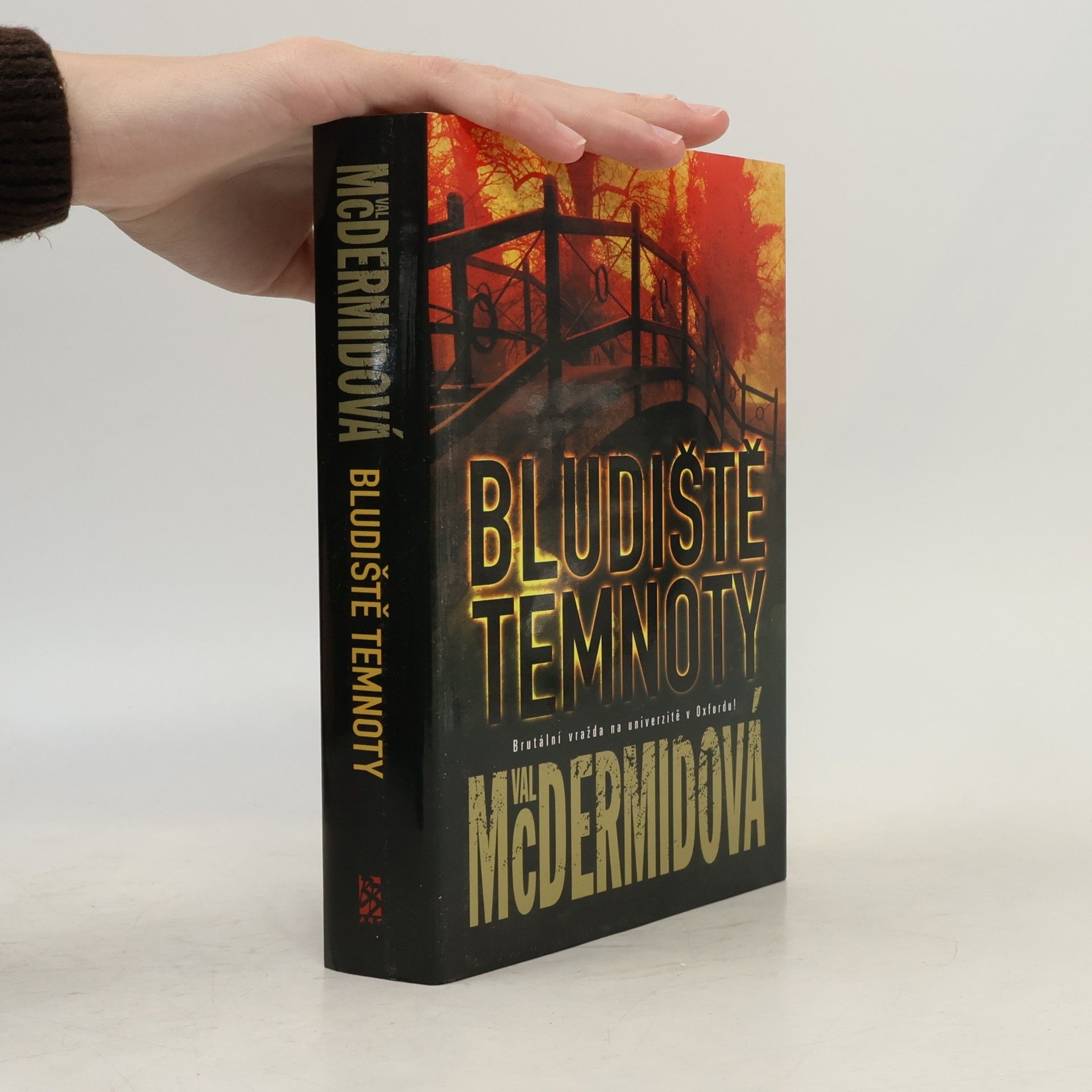 Val McDermid Bludiště temnoty