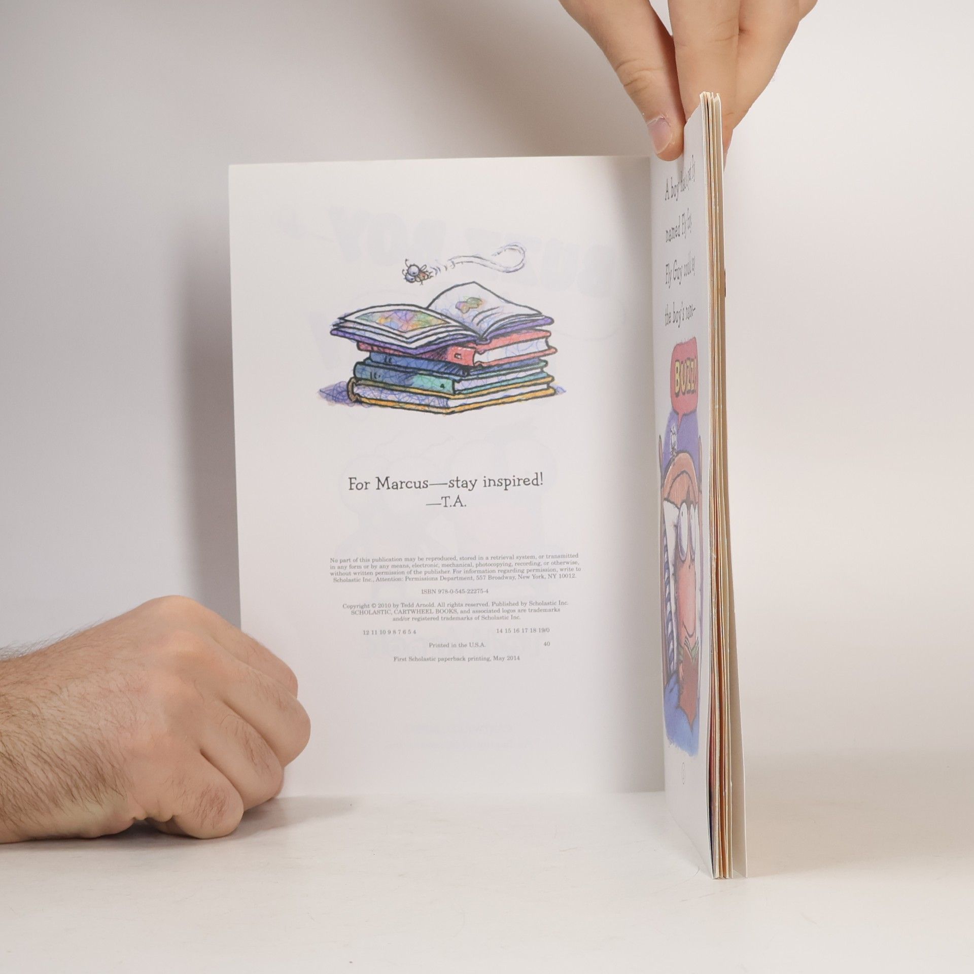 Tedd Arnold Buzz Boy and Fly Guy