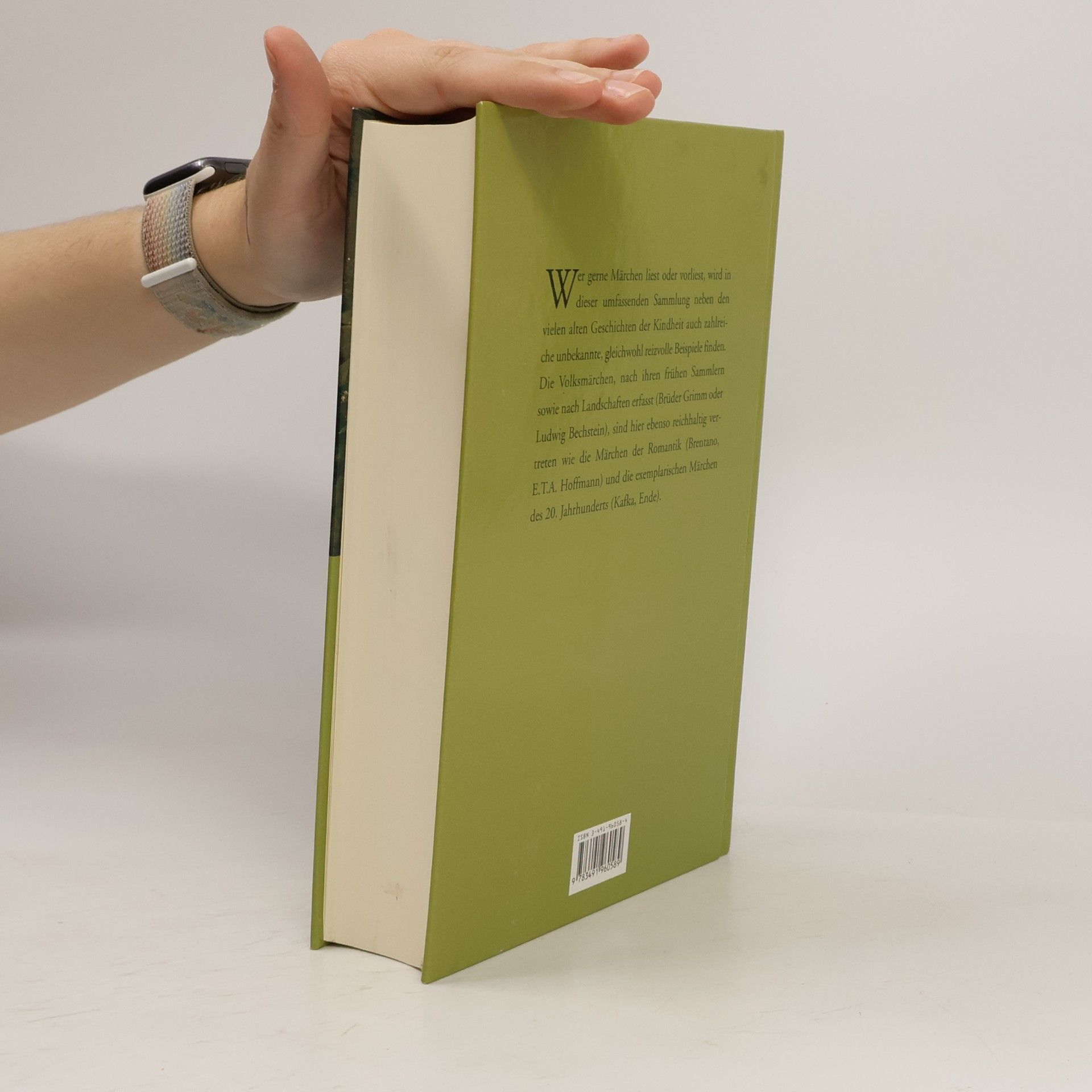 Helmut Brackert Das große deutsche Märchenbuch