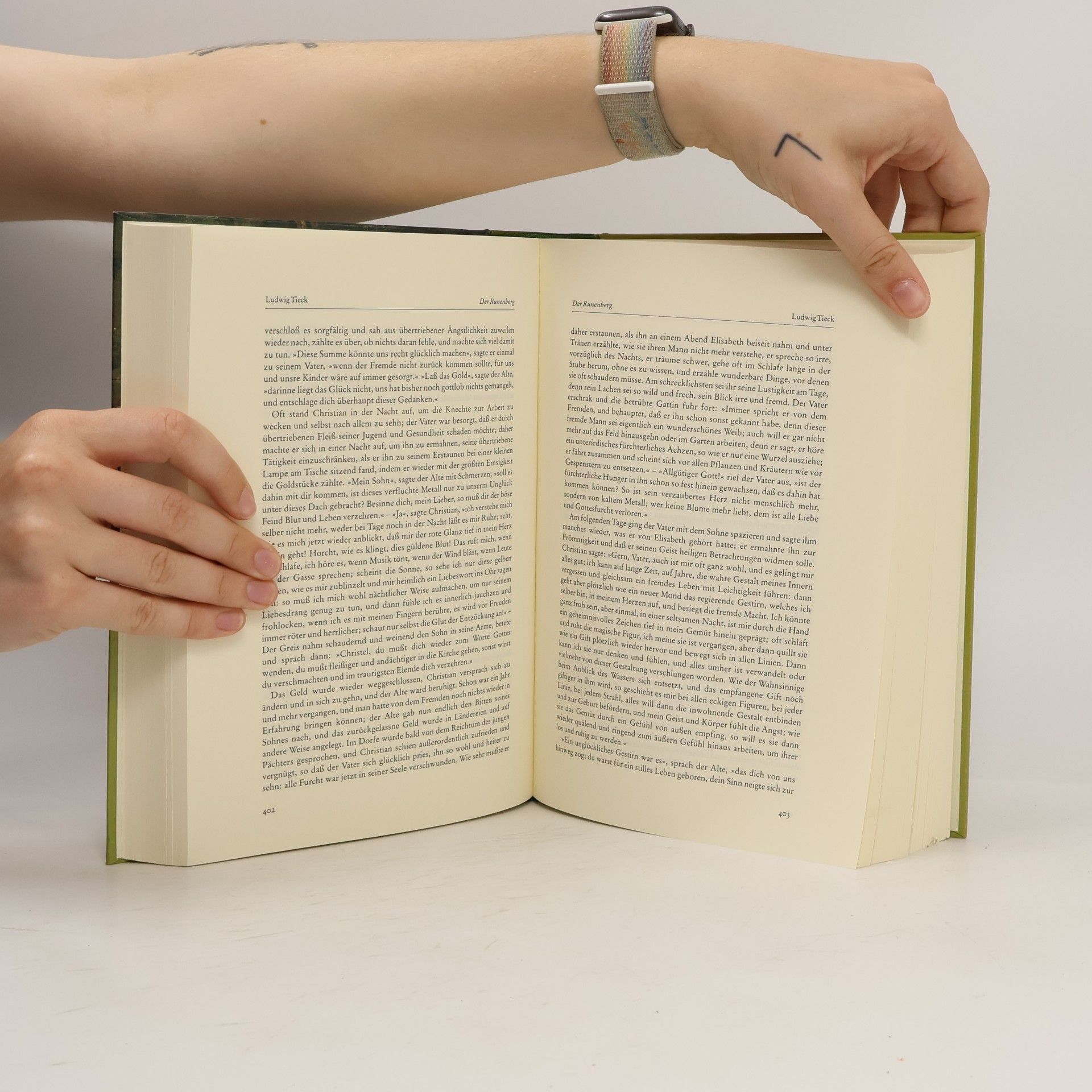 Helmut Brackert Das große deutsche Märchenbuch
