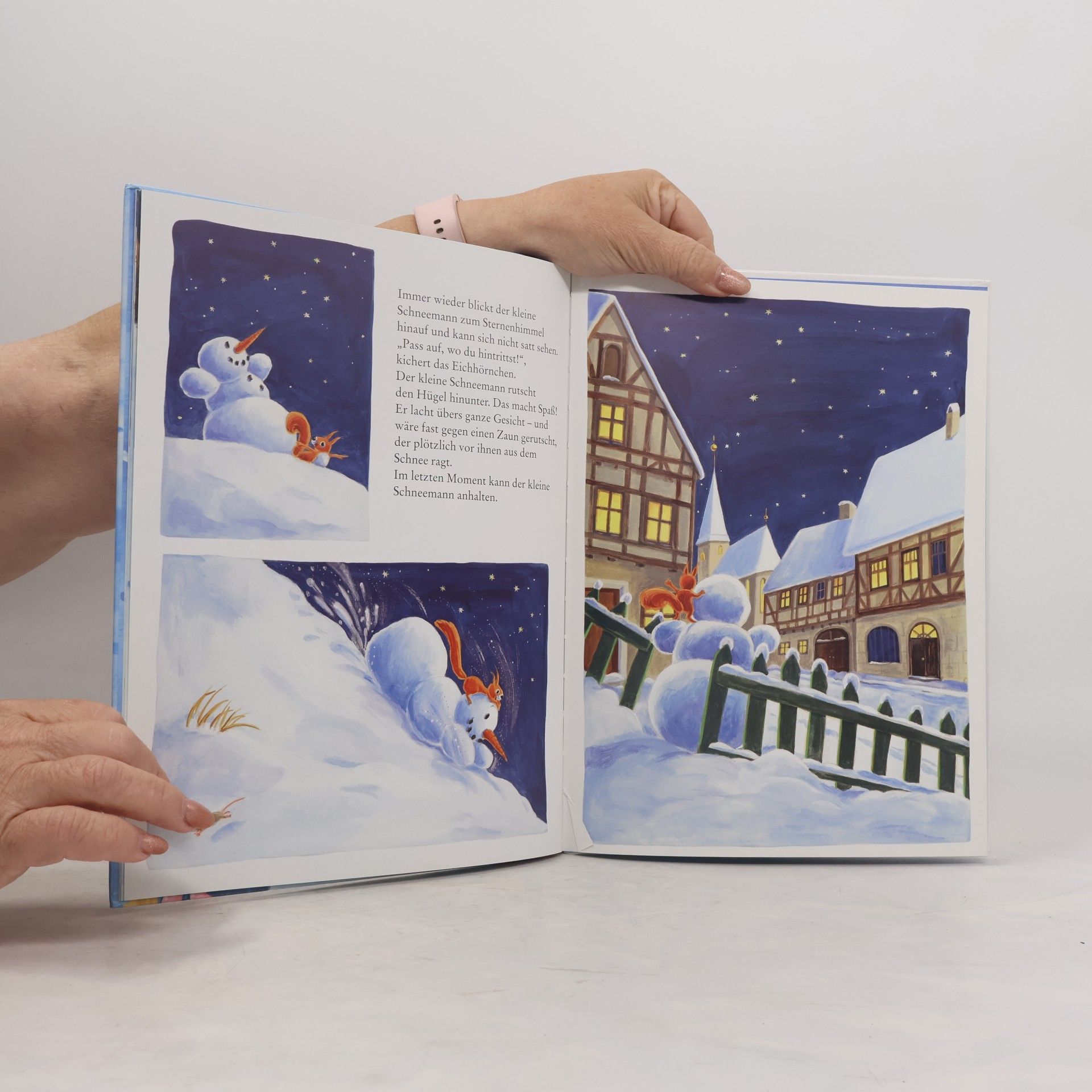 Wolfram Hänel Fröhliche Weihnachten, kleiner Schneemann!