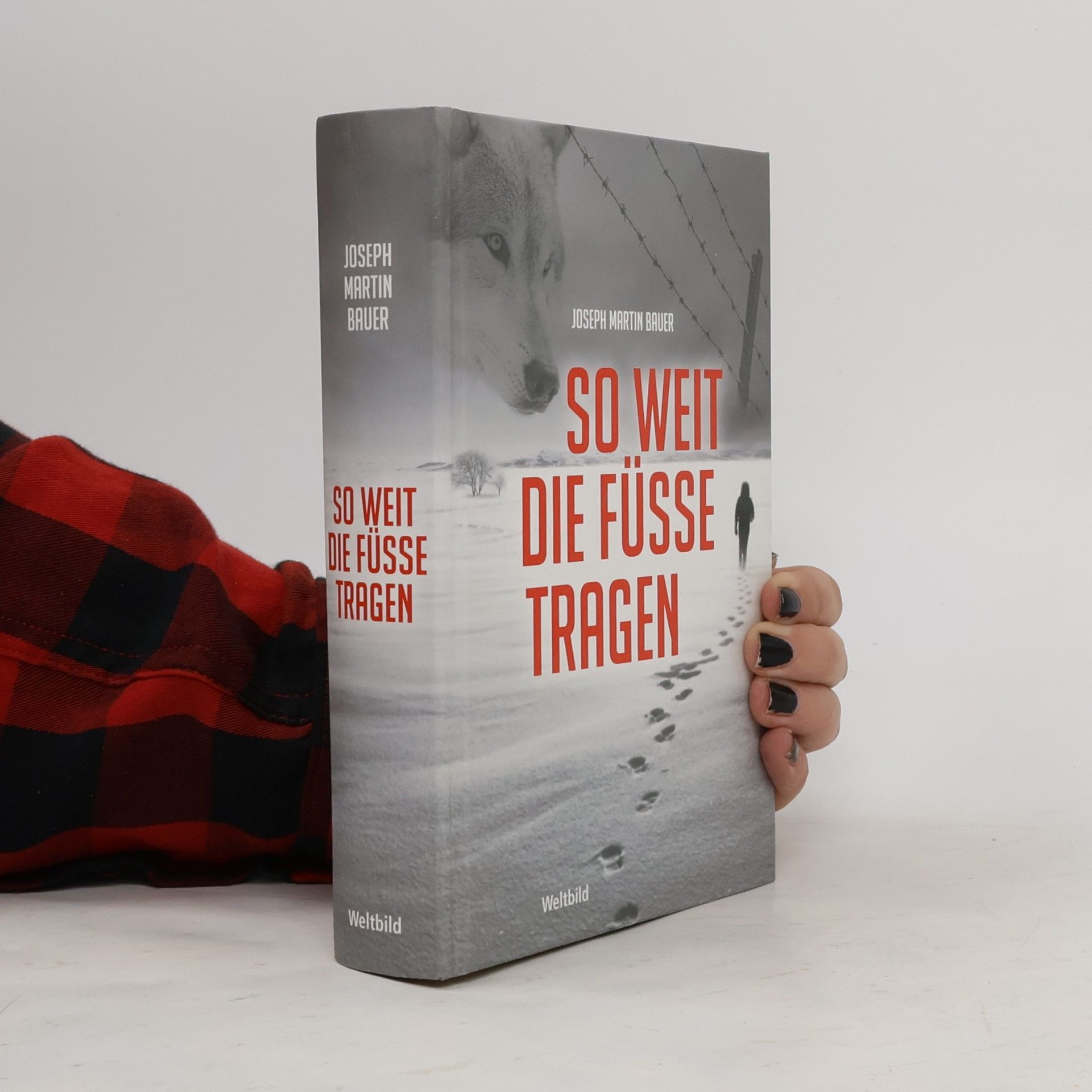 Josef Martin Bauer So weit die Füße tragen
