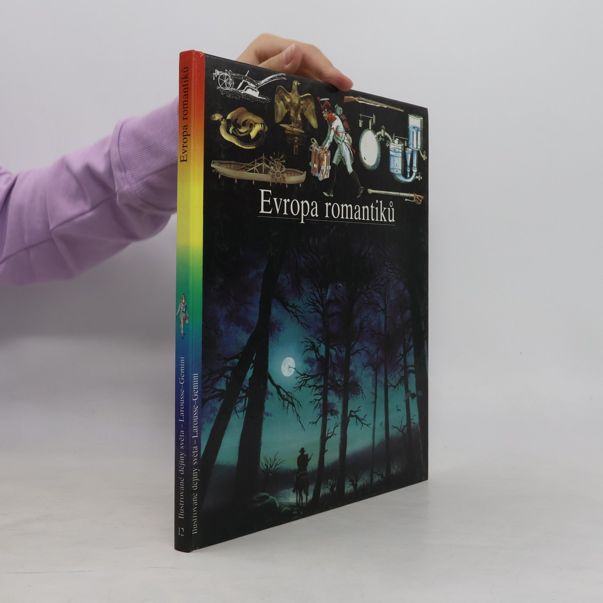 Kolektiv autorů Evropa romantiků