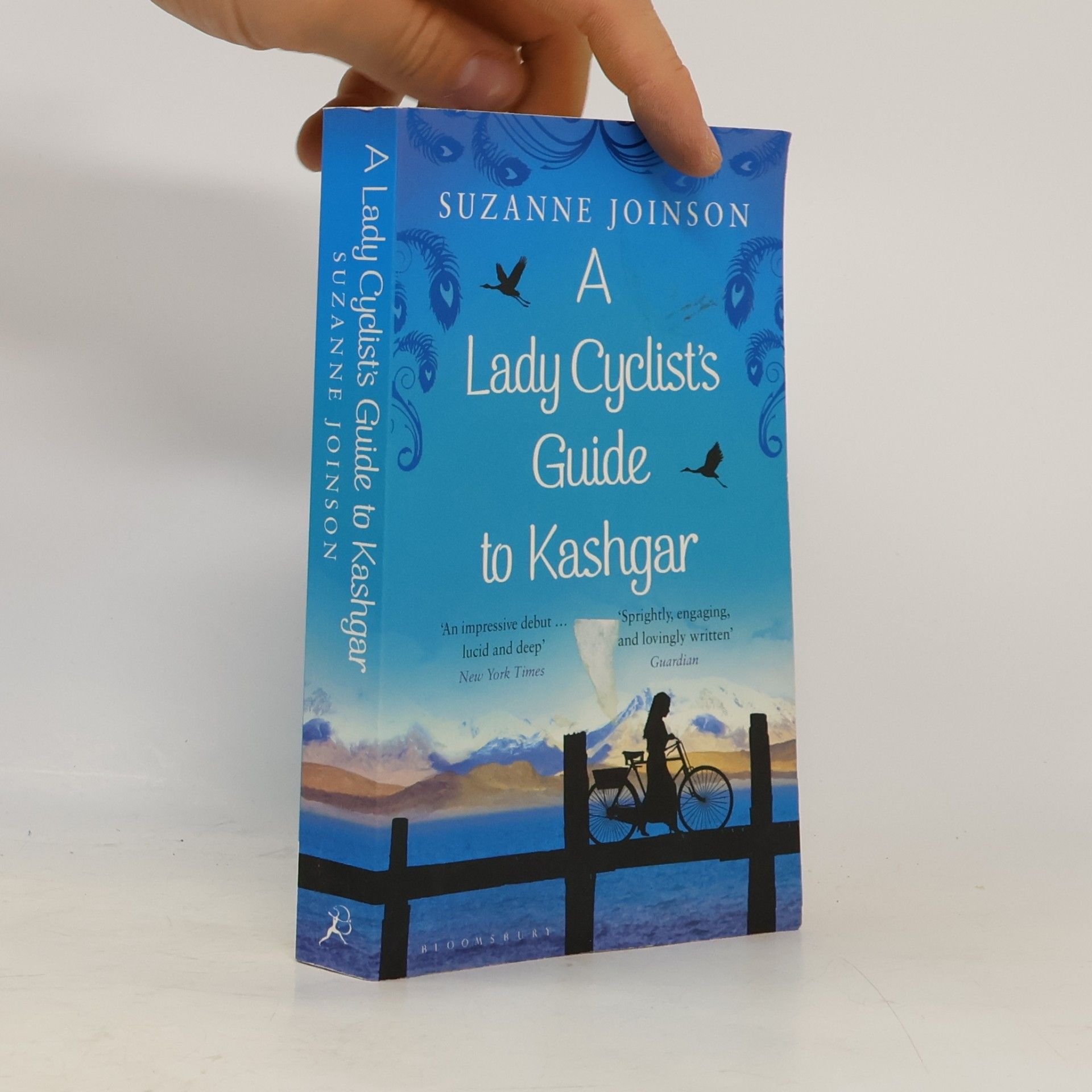 Suzanne Joinson A Lady Cyclist's Guide to Kashgar