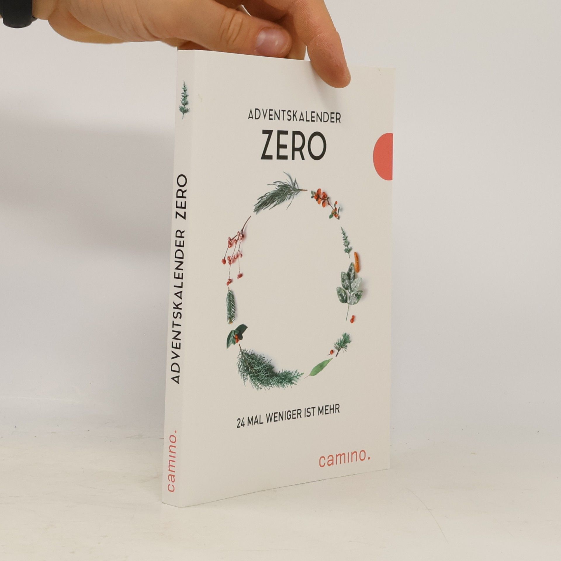 Auteurscollectief Adventskalender Zero