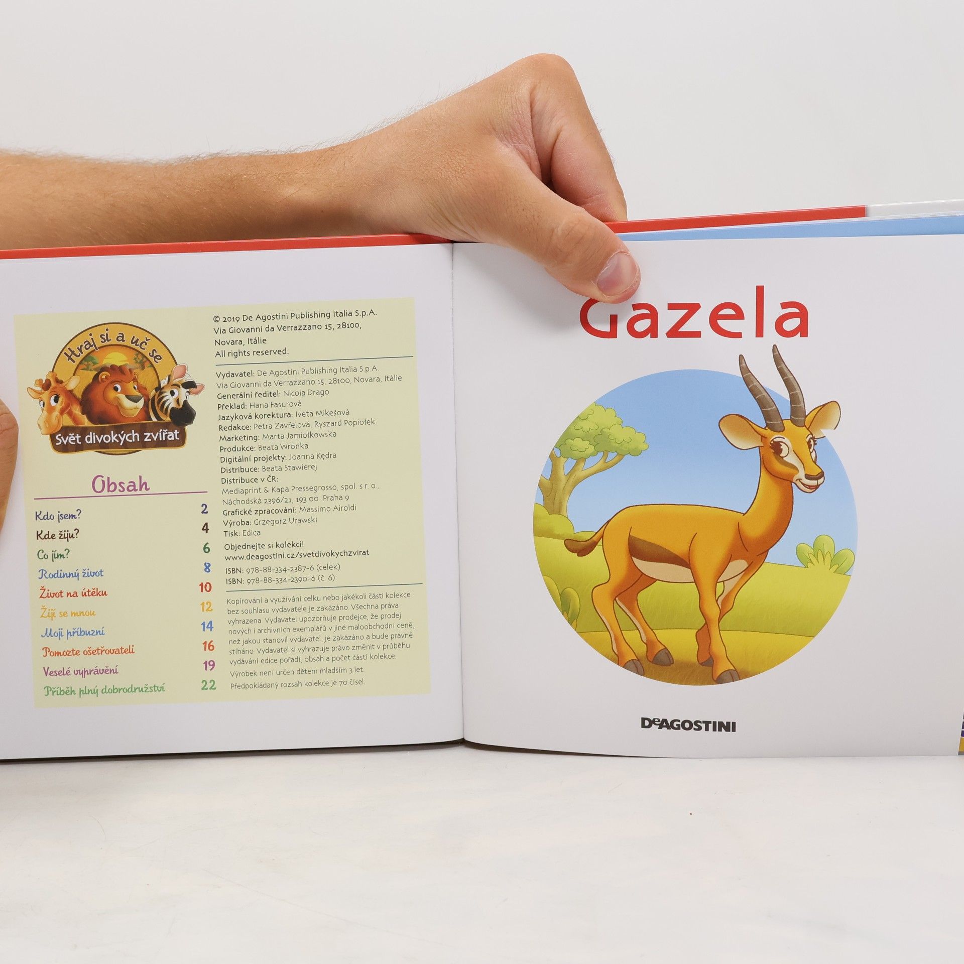 kolektiv Gazela