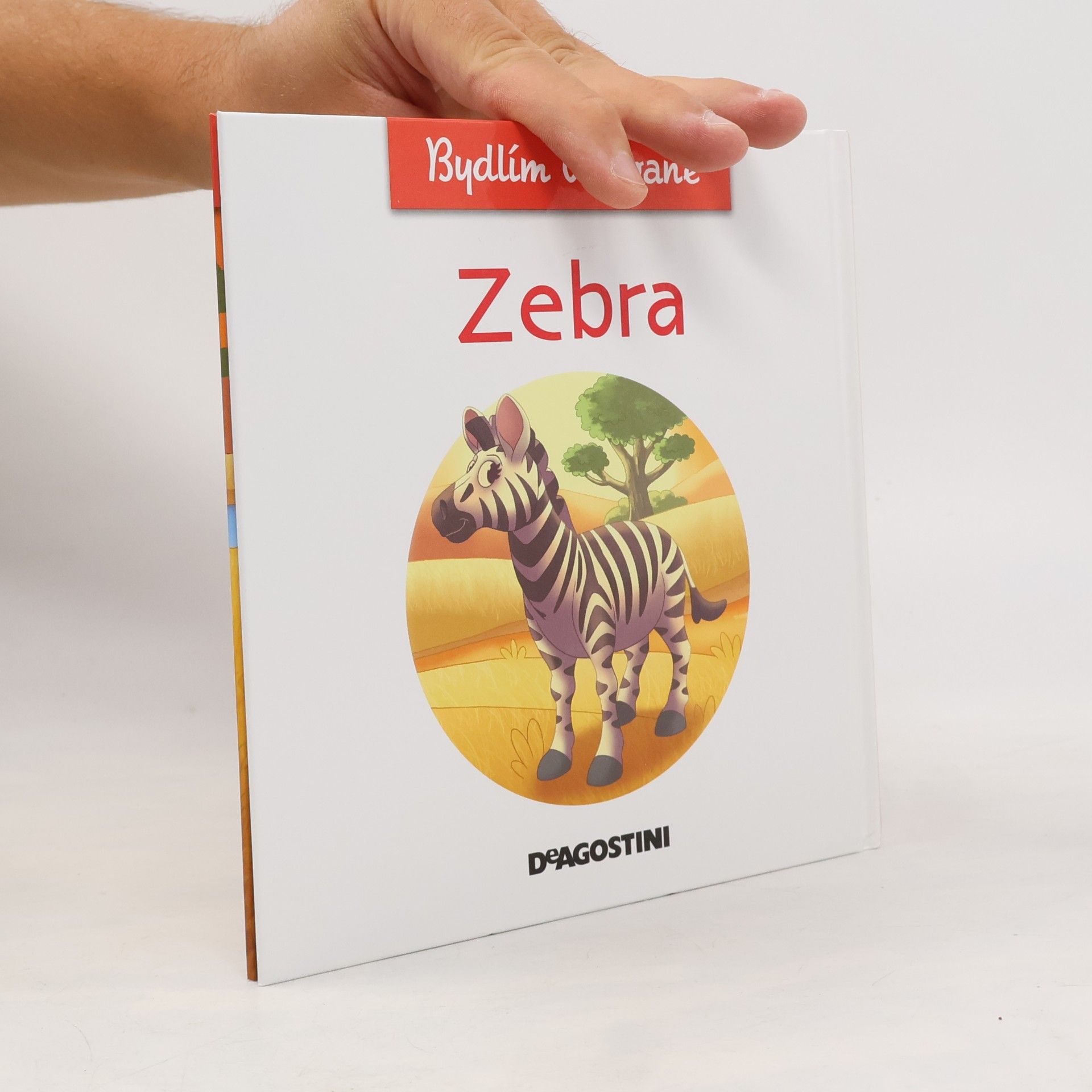 kolektiv Bydlím v savaně 5. Zebra
