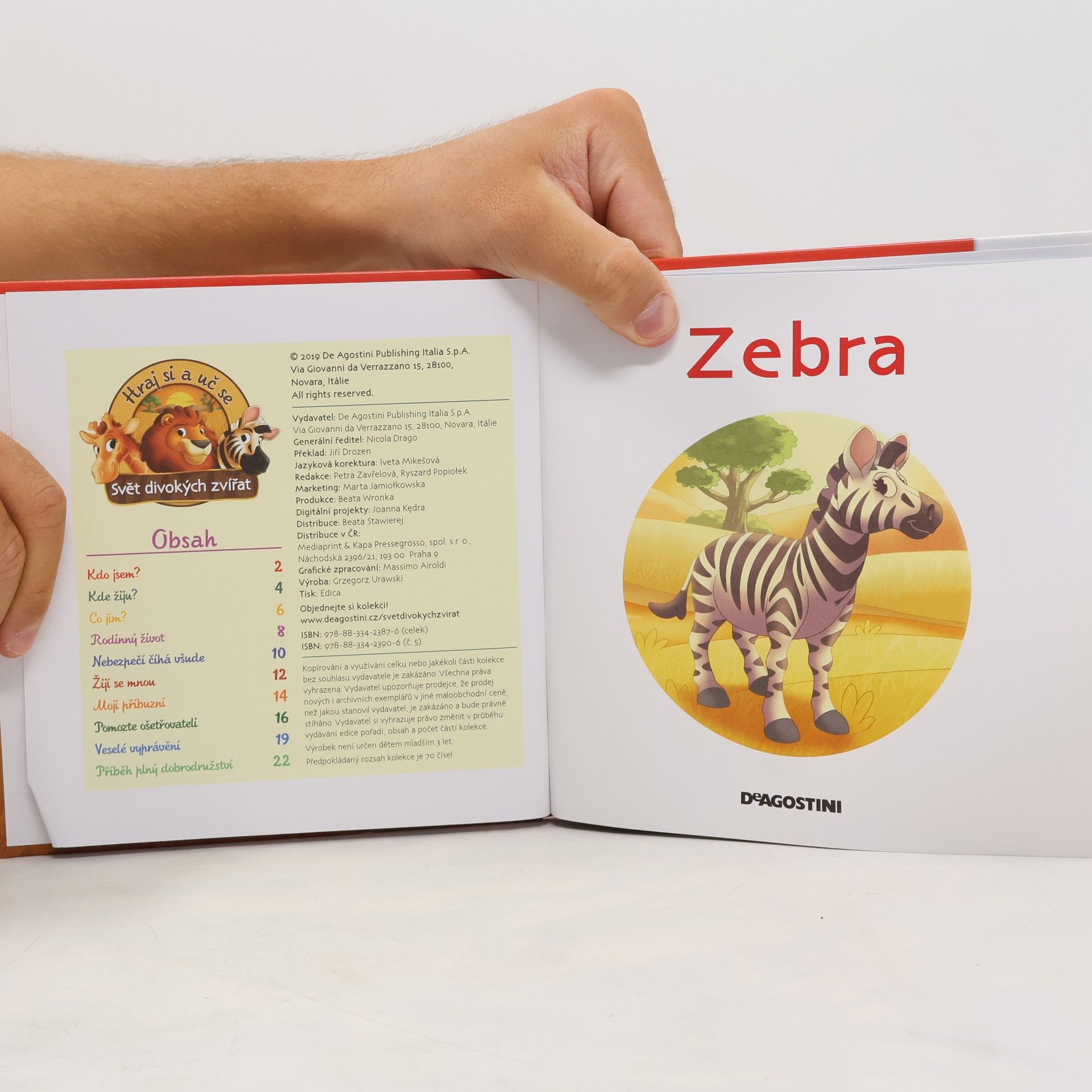 kolektiv Bydlím v savaně 5. Zebra