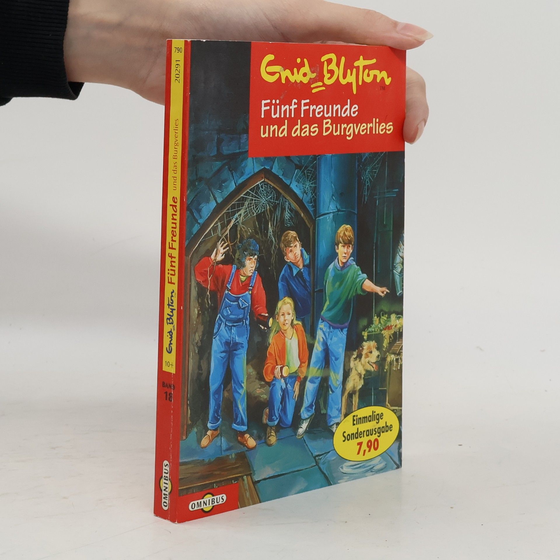 Enid Blyton Fünf Freunde und das Burgverlies