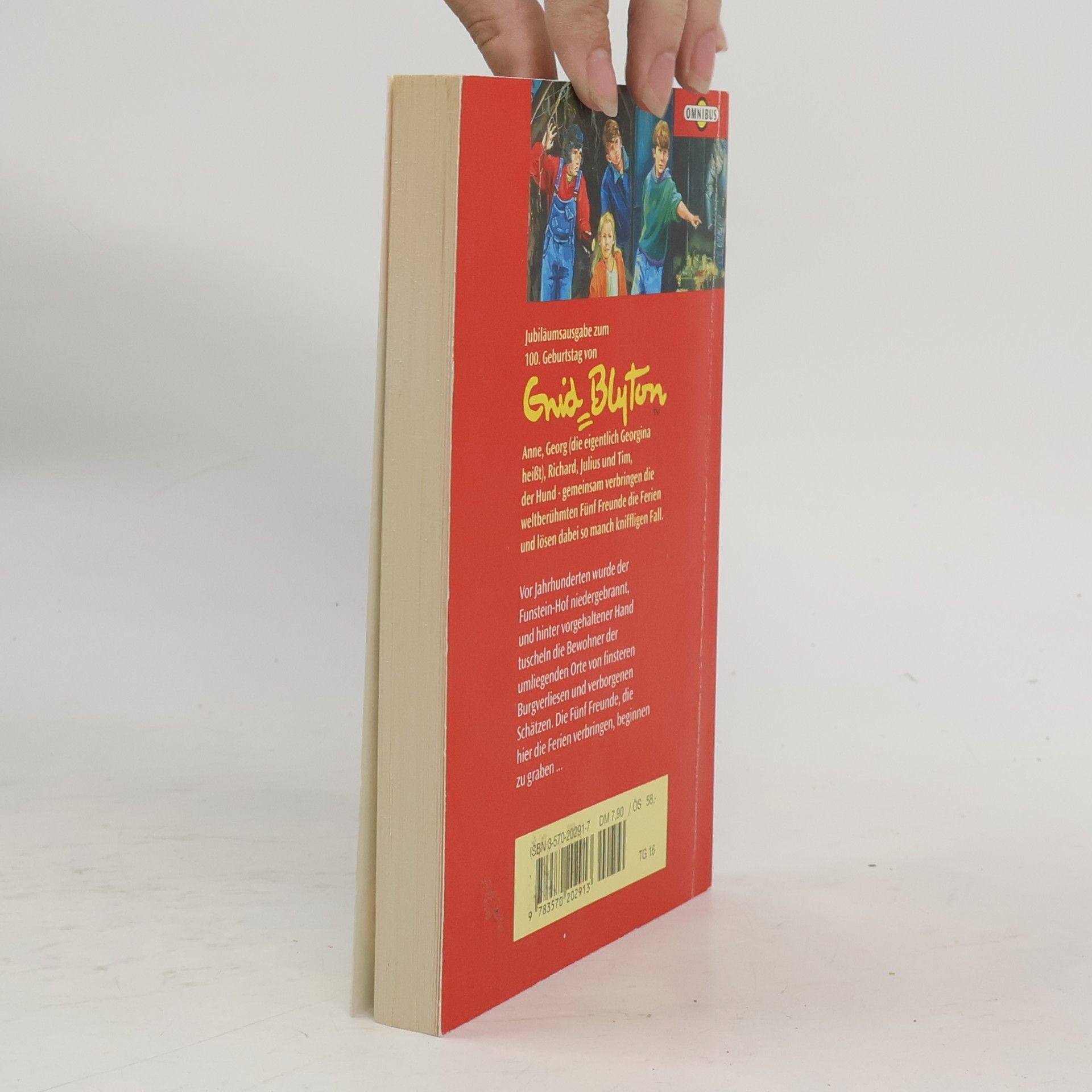 Enid Blyton Fünf Freunde und das Burgverlies