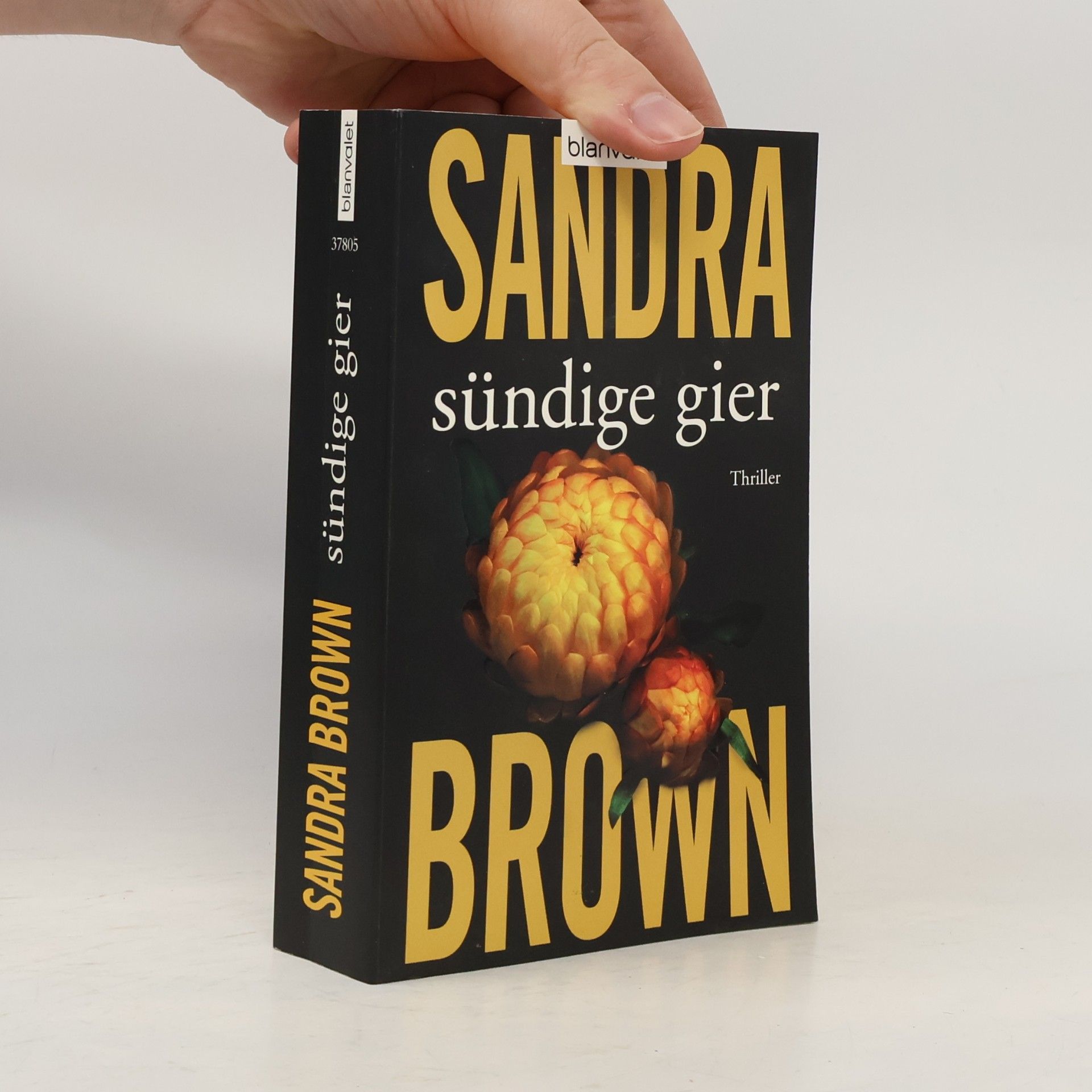 Sandra Brown Sündige Gier