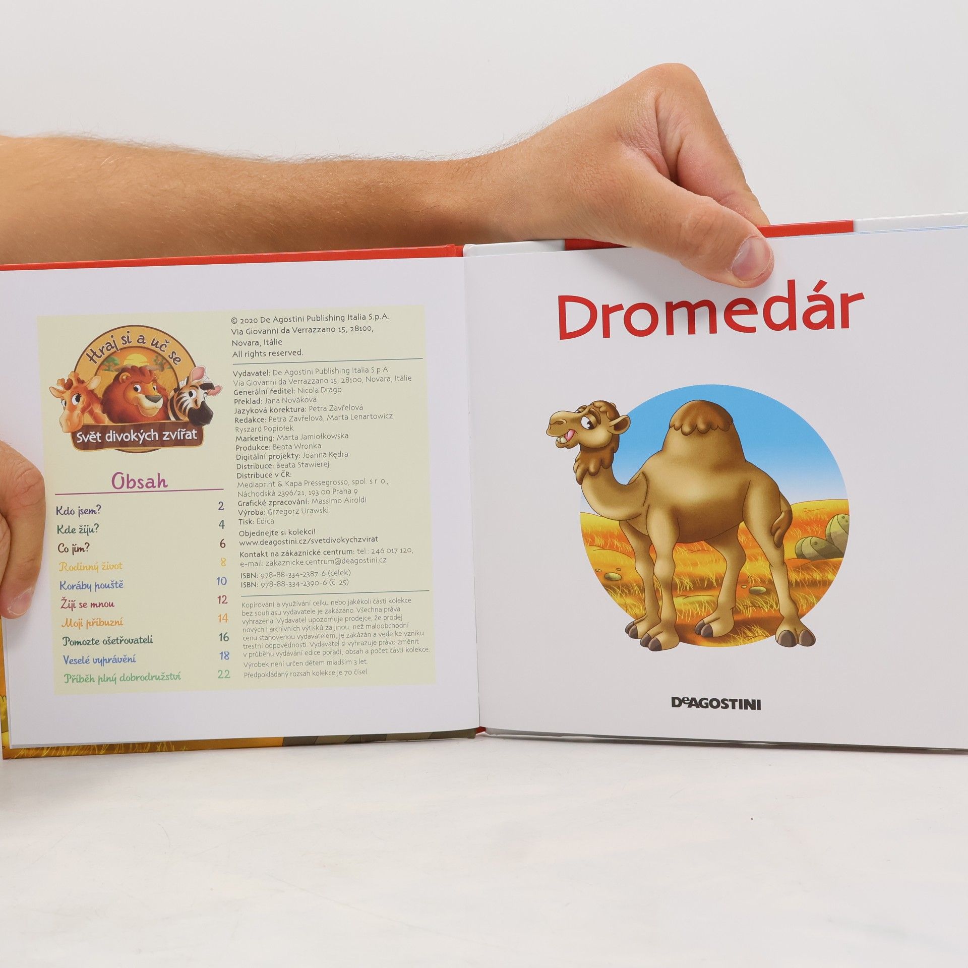 kolektiv Bydlím v savaně 25. Dromedár