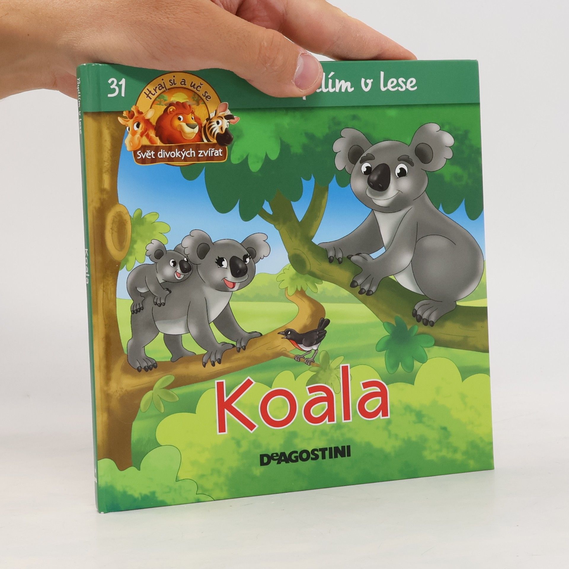 Kolektiv autorů Bydlím v lese 31. Koala