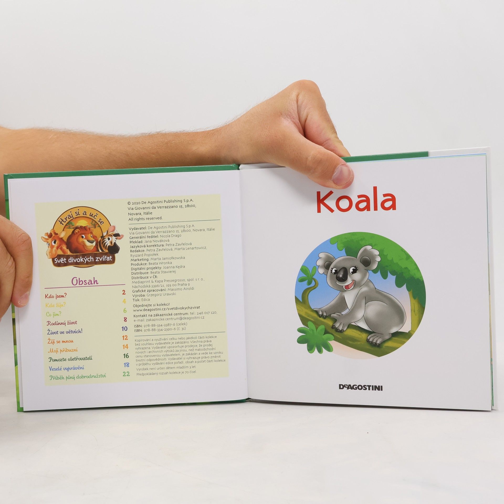 Kolektiv autorů Bydlím v lese 31. Koala