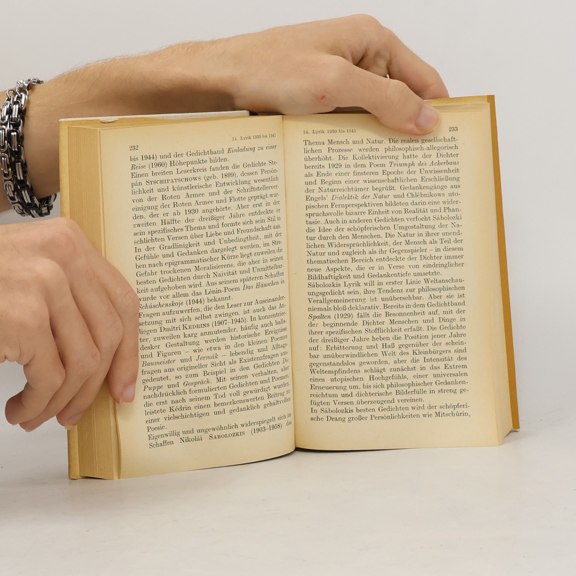 Harri Jünger Russische sowjetische Literatur im Überblick