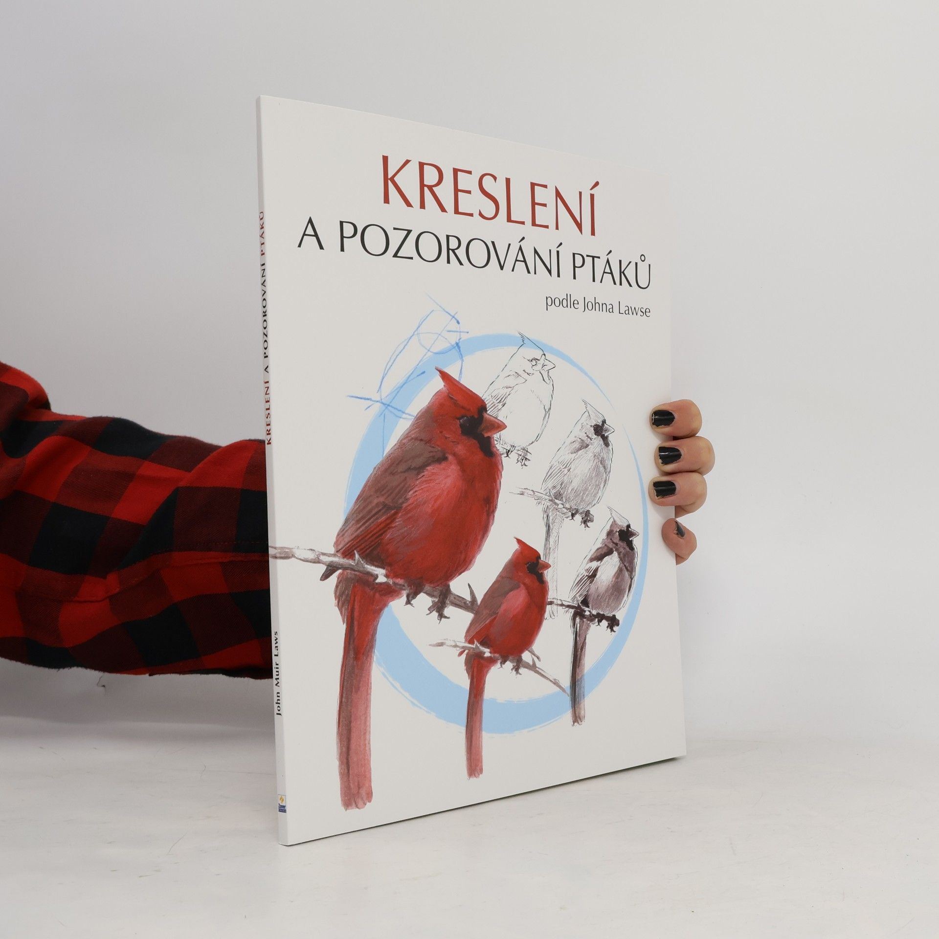 David Sibley Kreslení a pozorování ptáků