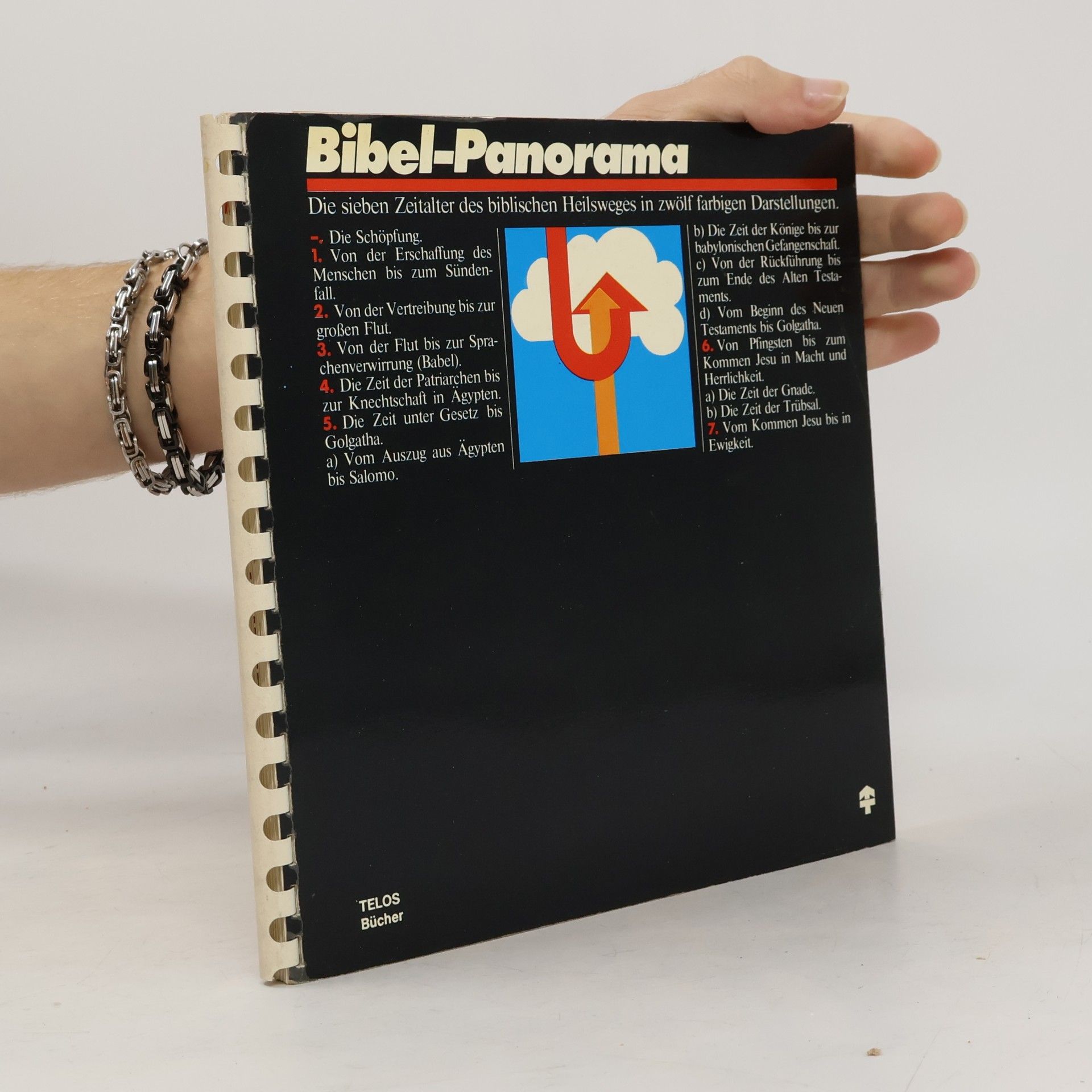Collectif d'auteurs Bibel-Panorama