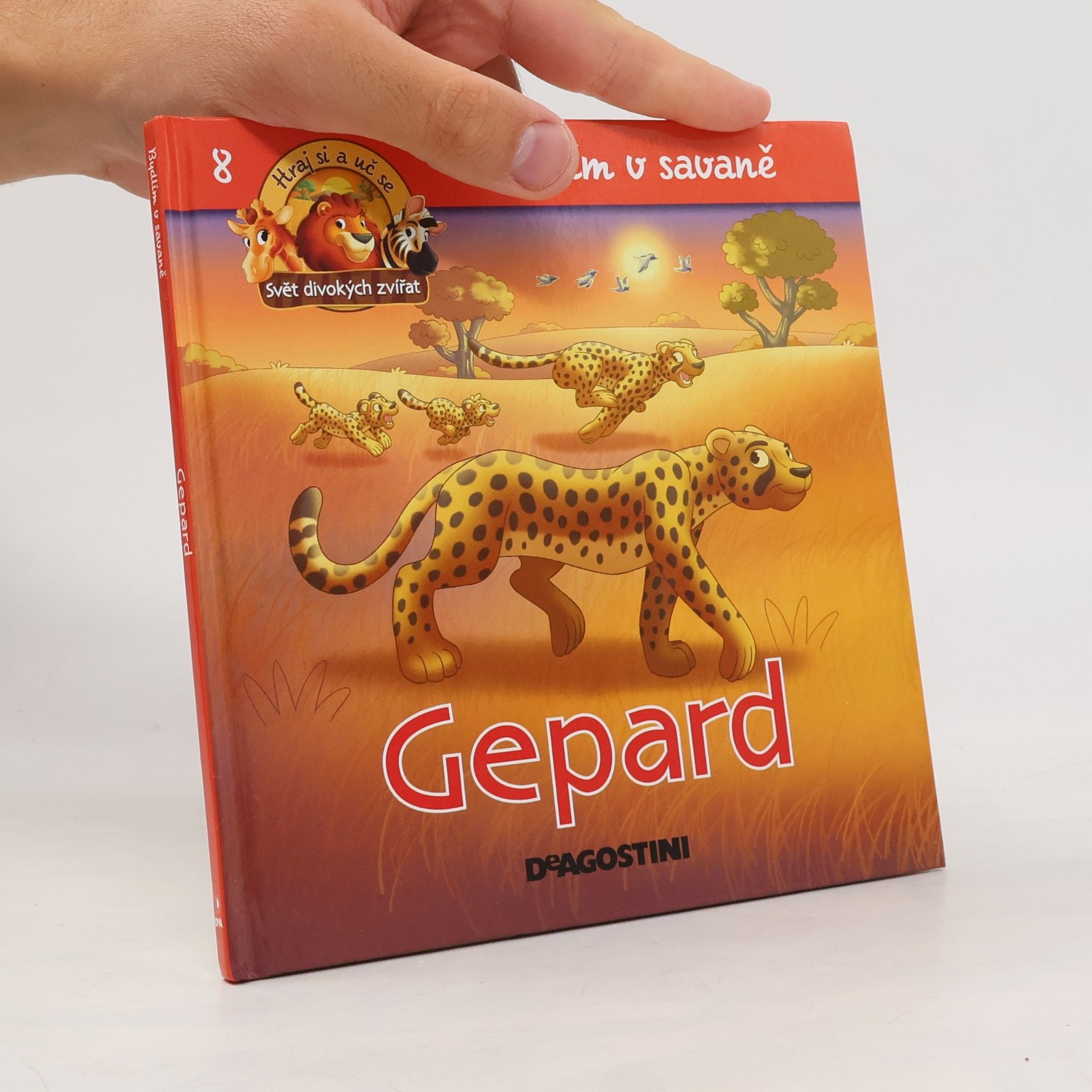 Hana Fasurová Bydlím v savaně 8. Gepard