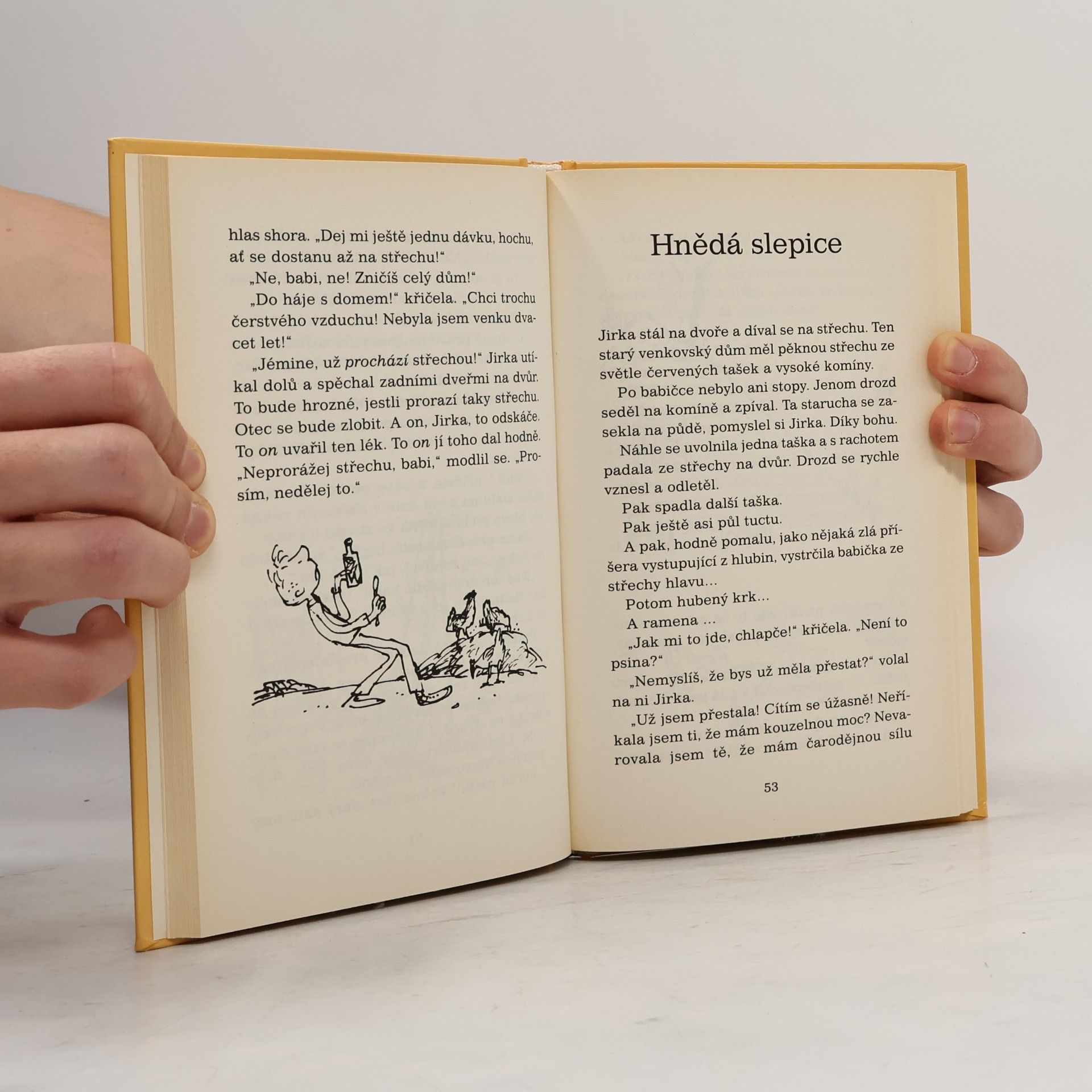 Roald Dahl Jirkova zázračná medicína
