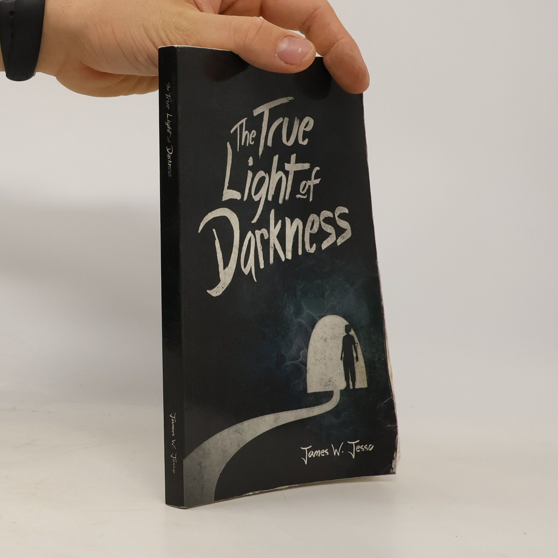 James W. Jesso The True Light of Darkness